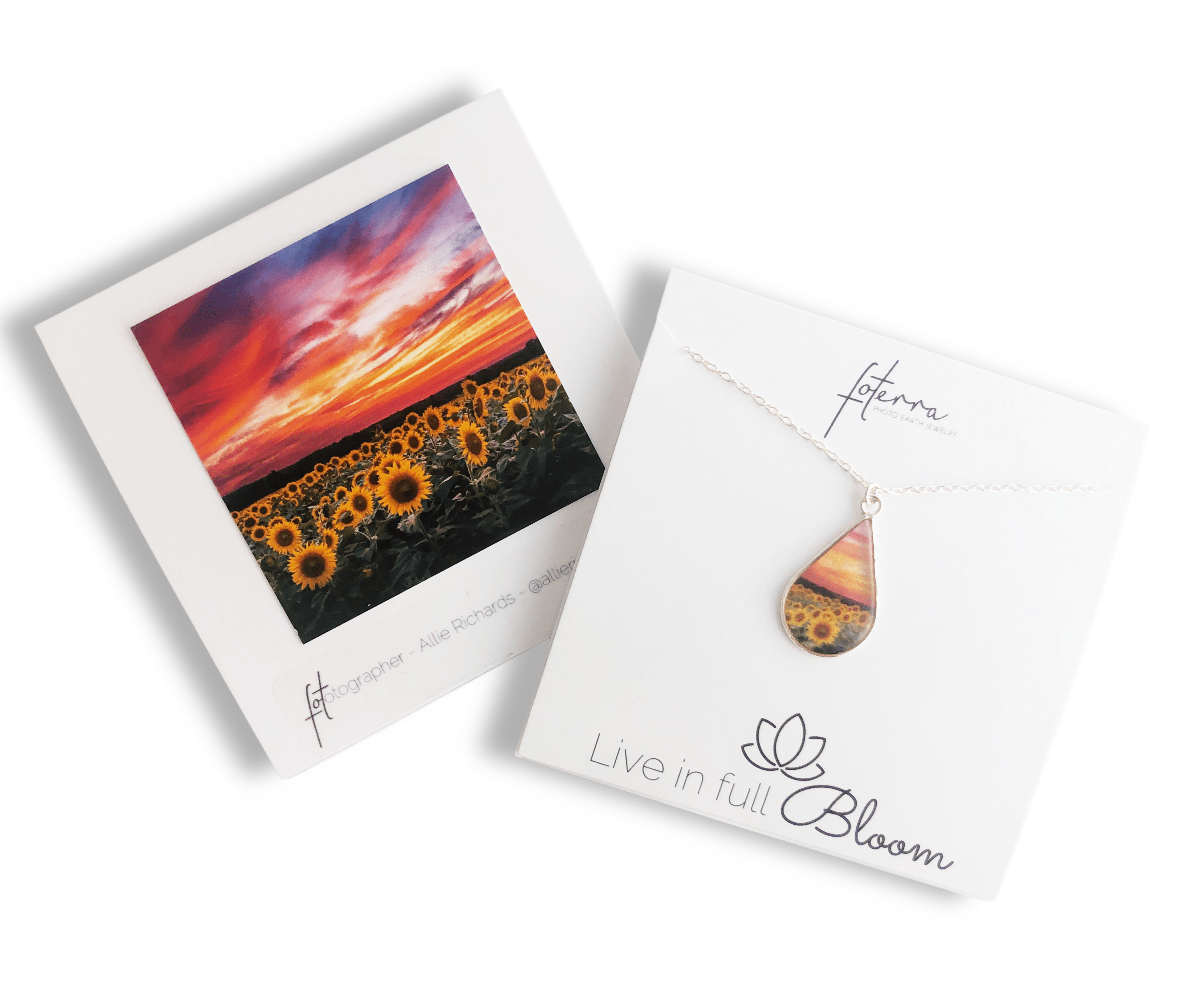 Allie Richards Necklace