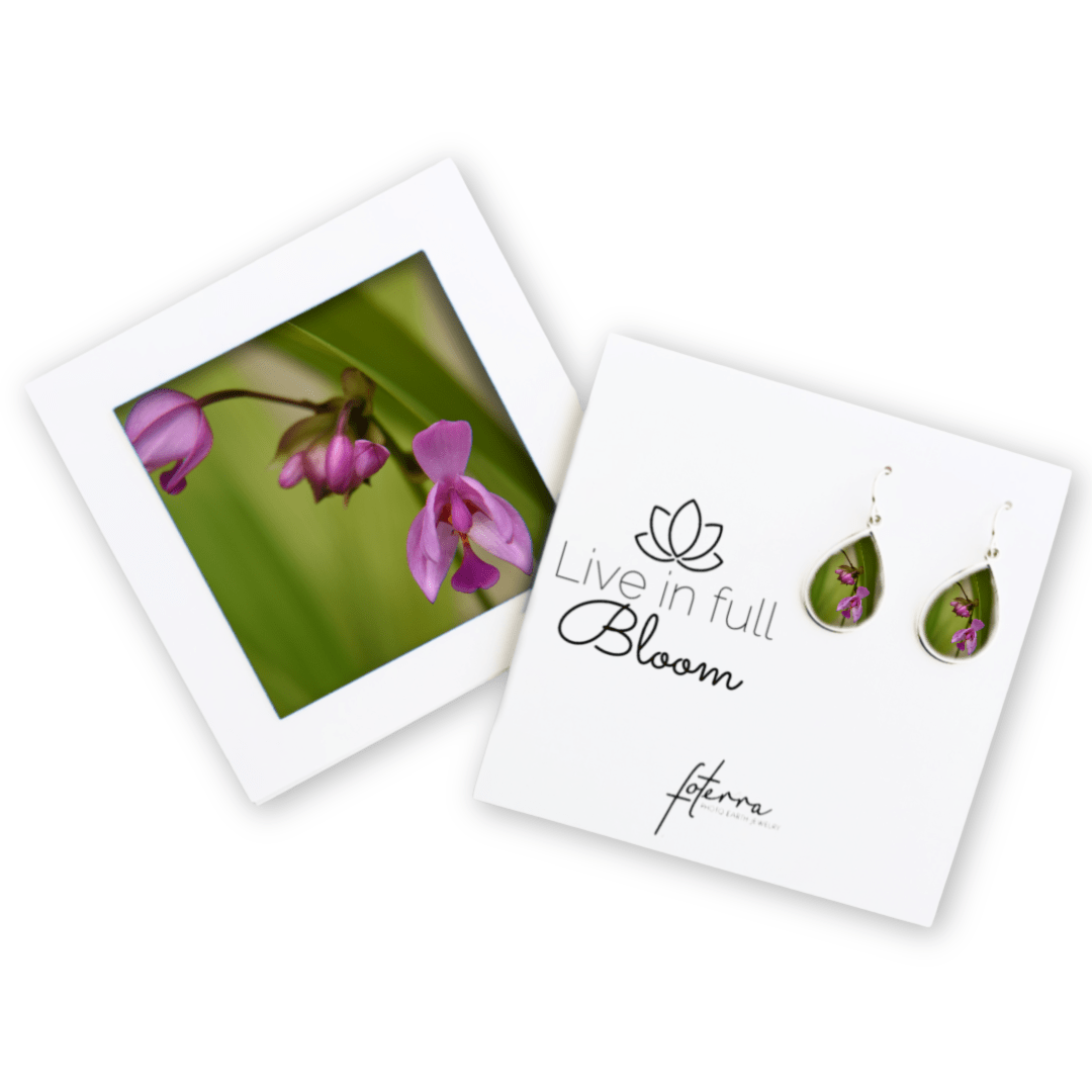 Kim Bailey Earrings