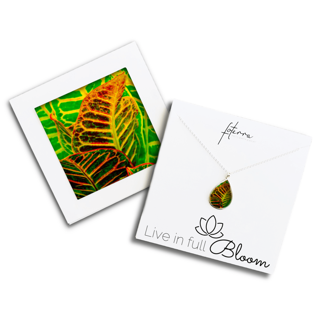 Kim Bailey Necklace