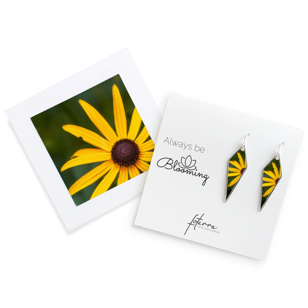 Stacy White Photography Earrings
