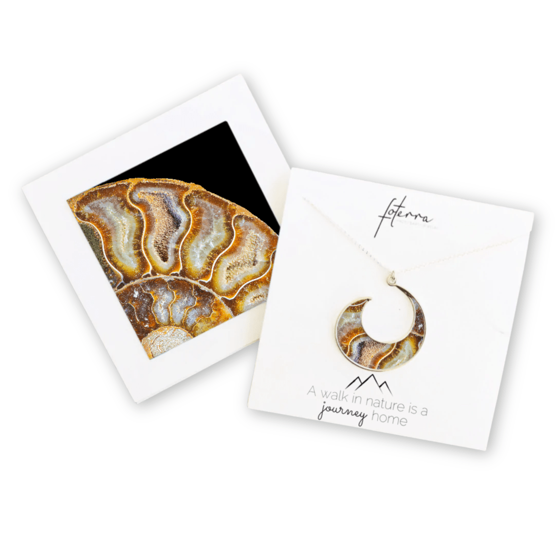 Nautilus Shell Necklace by Stacy White