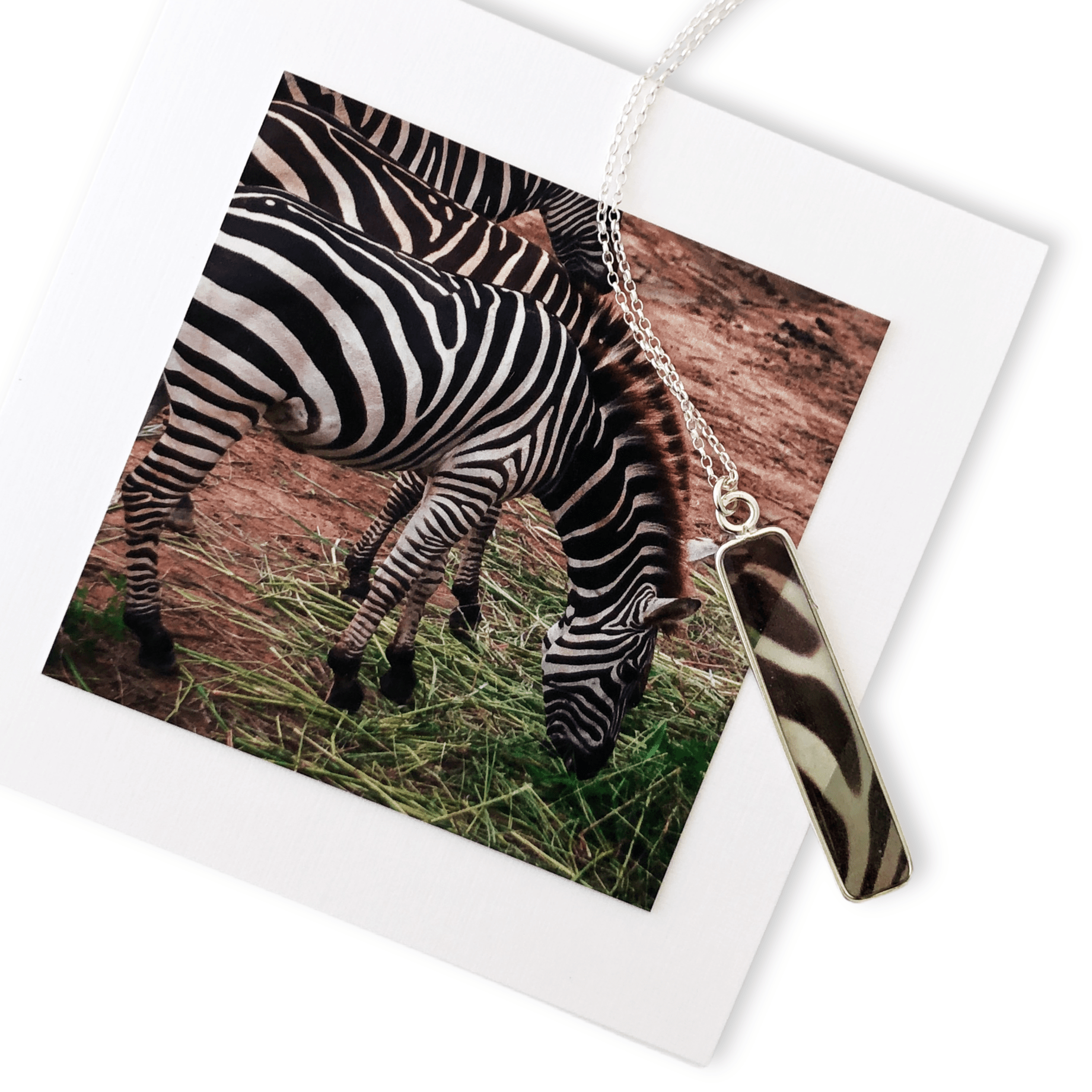 Zebra Necklace by Cara Koch