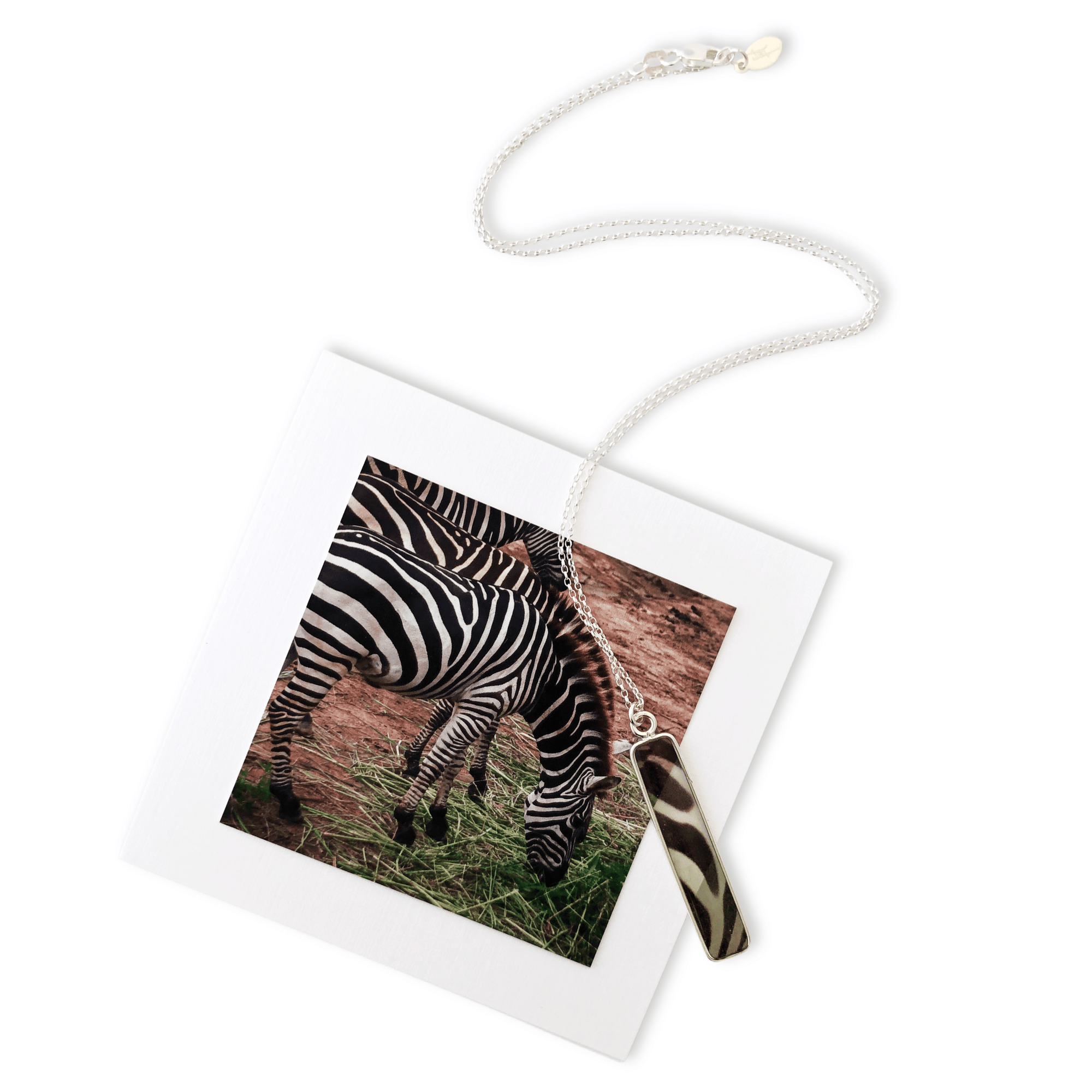Zebra Necklace by Cara Koch