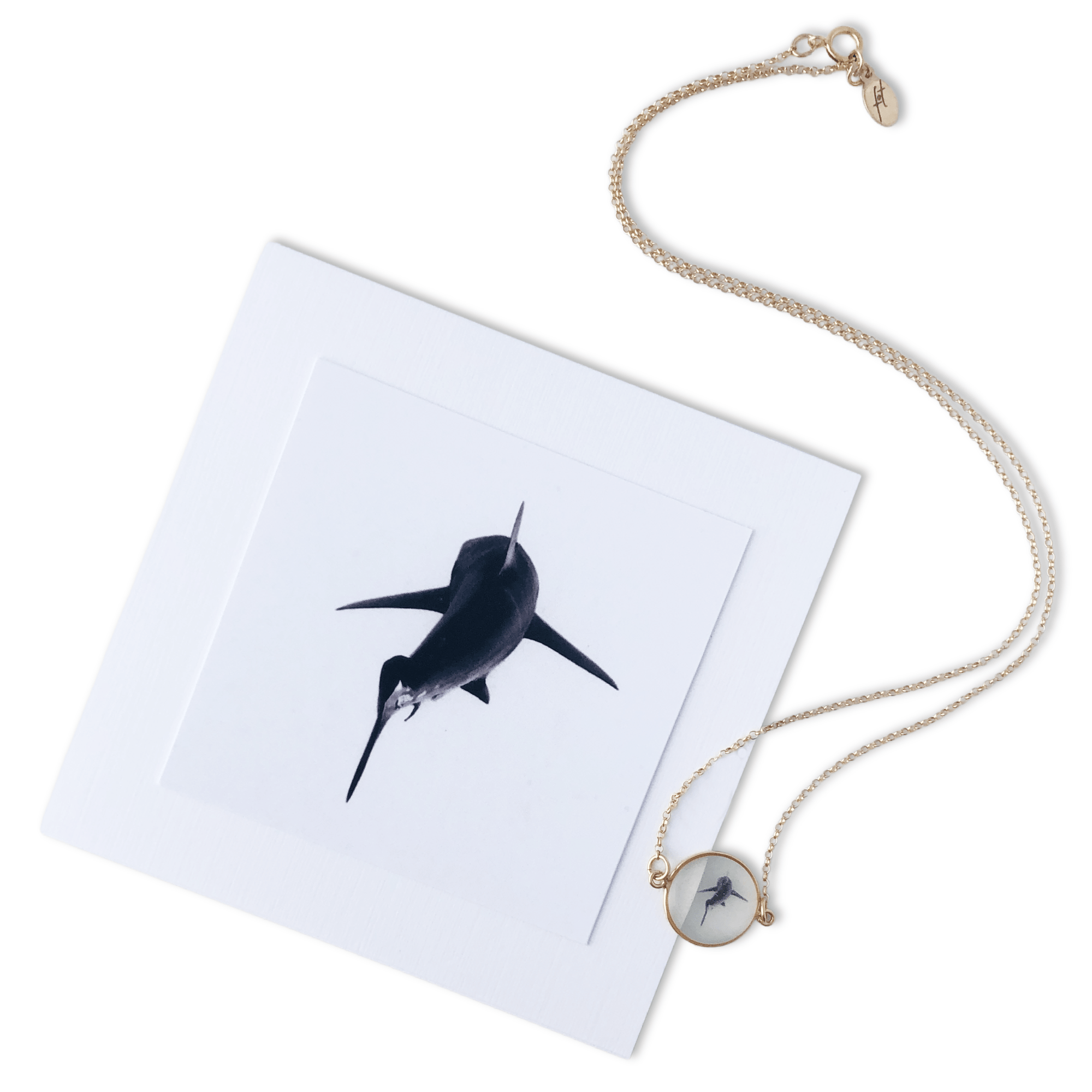 Shark Necklace by John Baran