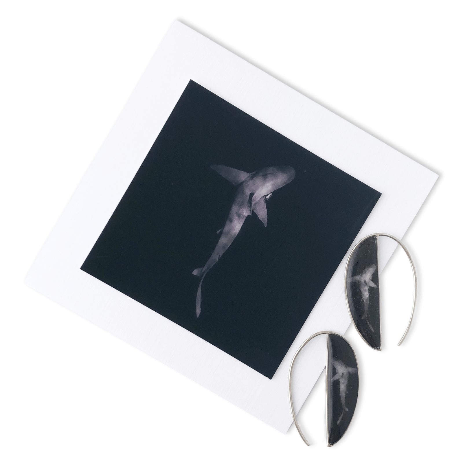 Shark Earrings by John Kowitz