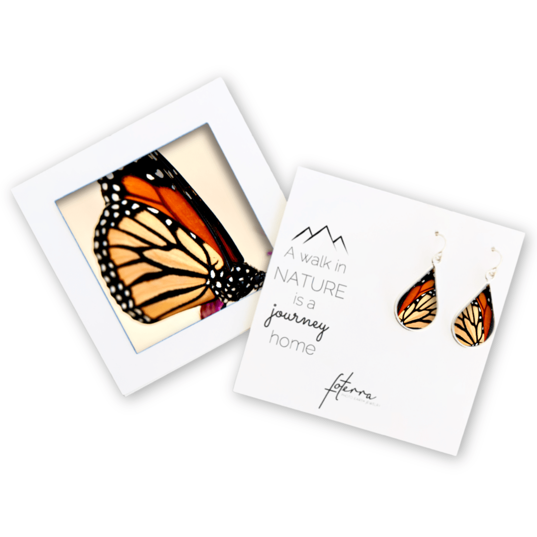 Monarch Butterfly Earrings by Kelly Kreger