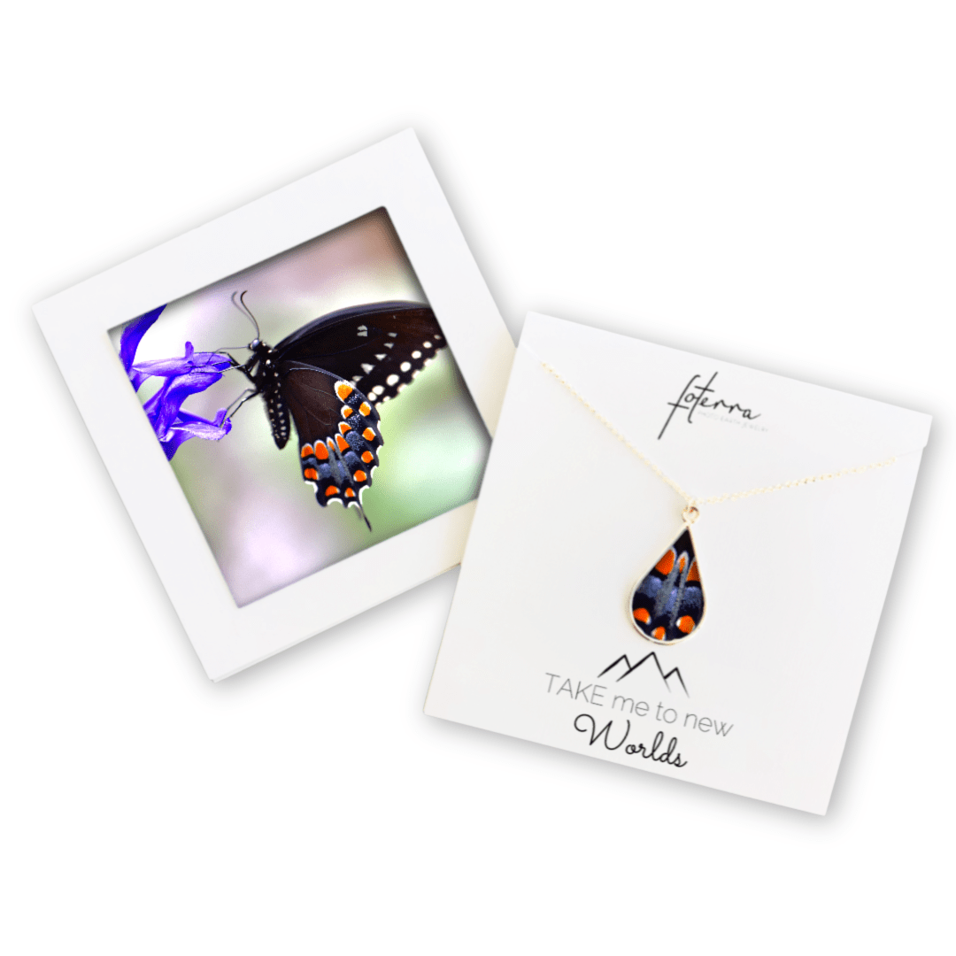 Butterfly Necklace by Kelly Kreger
