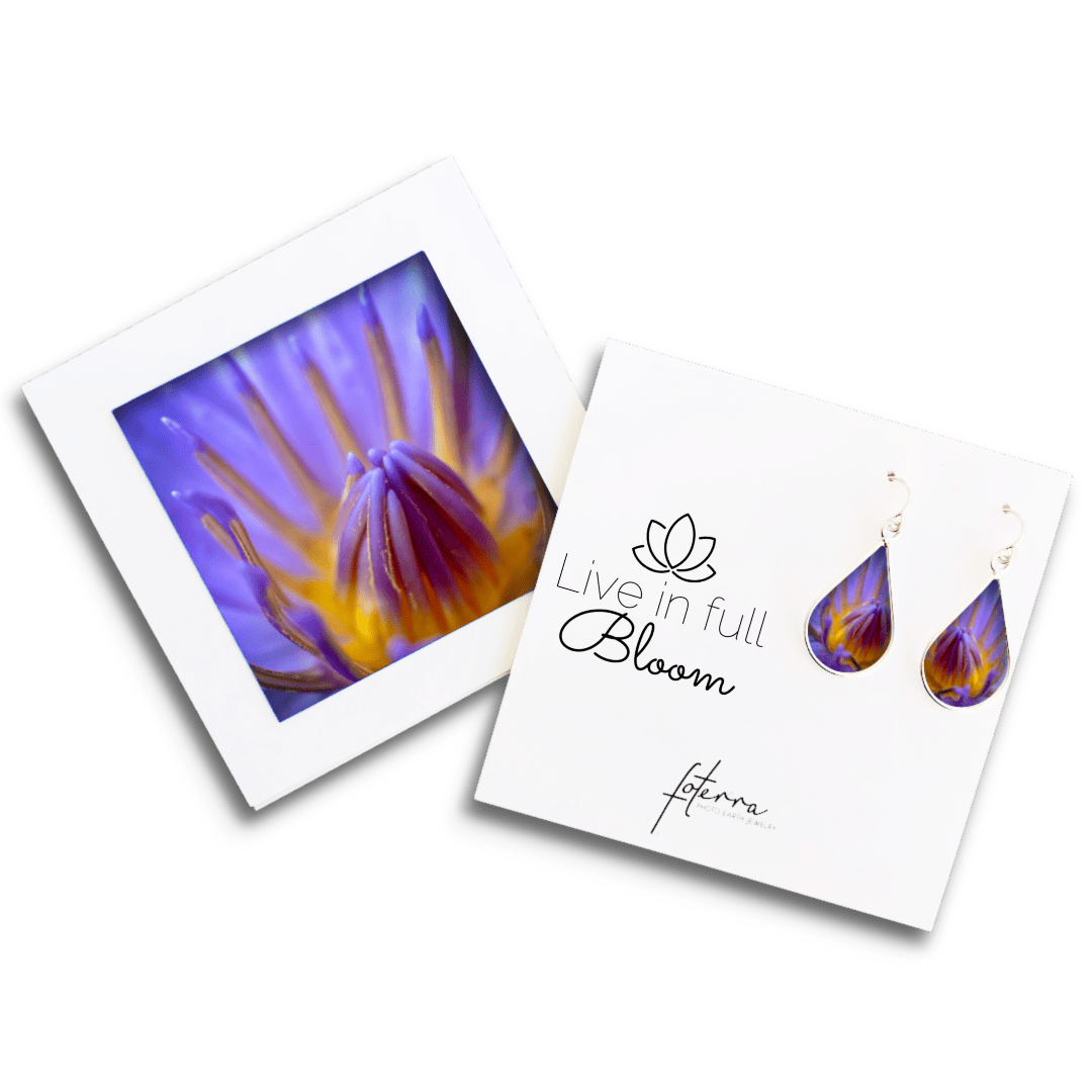 Kyote Designs Earrings