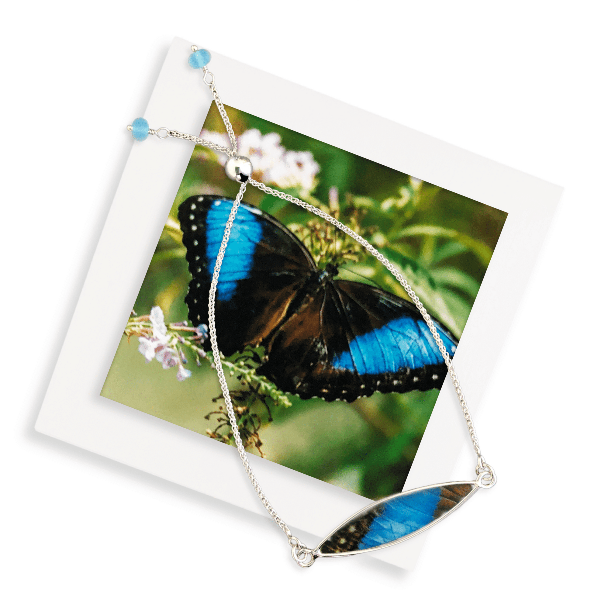 Tropical Blue Butterfly Bracelet by La Vida in Life Photography