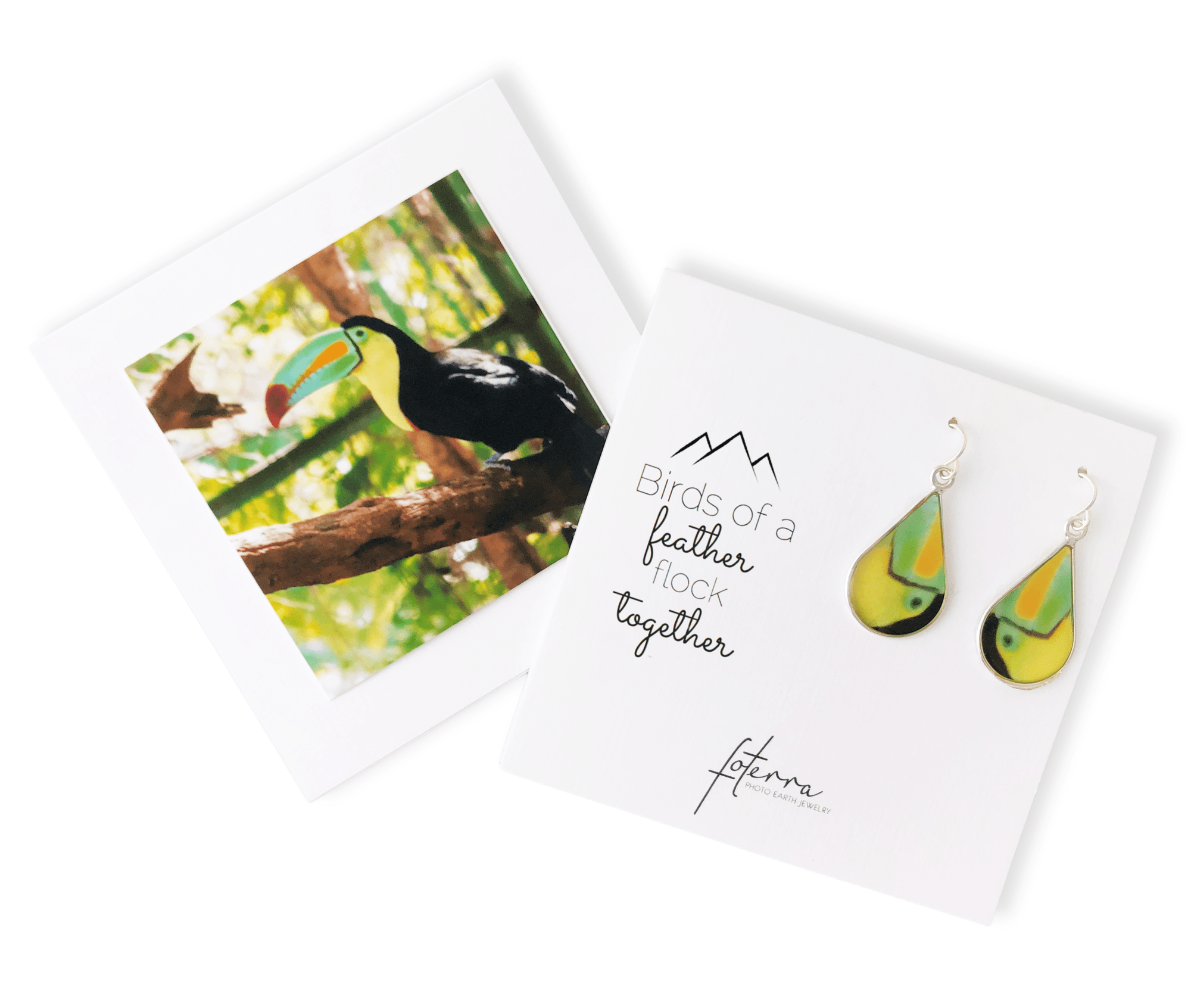 Rainforest Toucan Earrings by La Vida in Life Photography