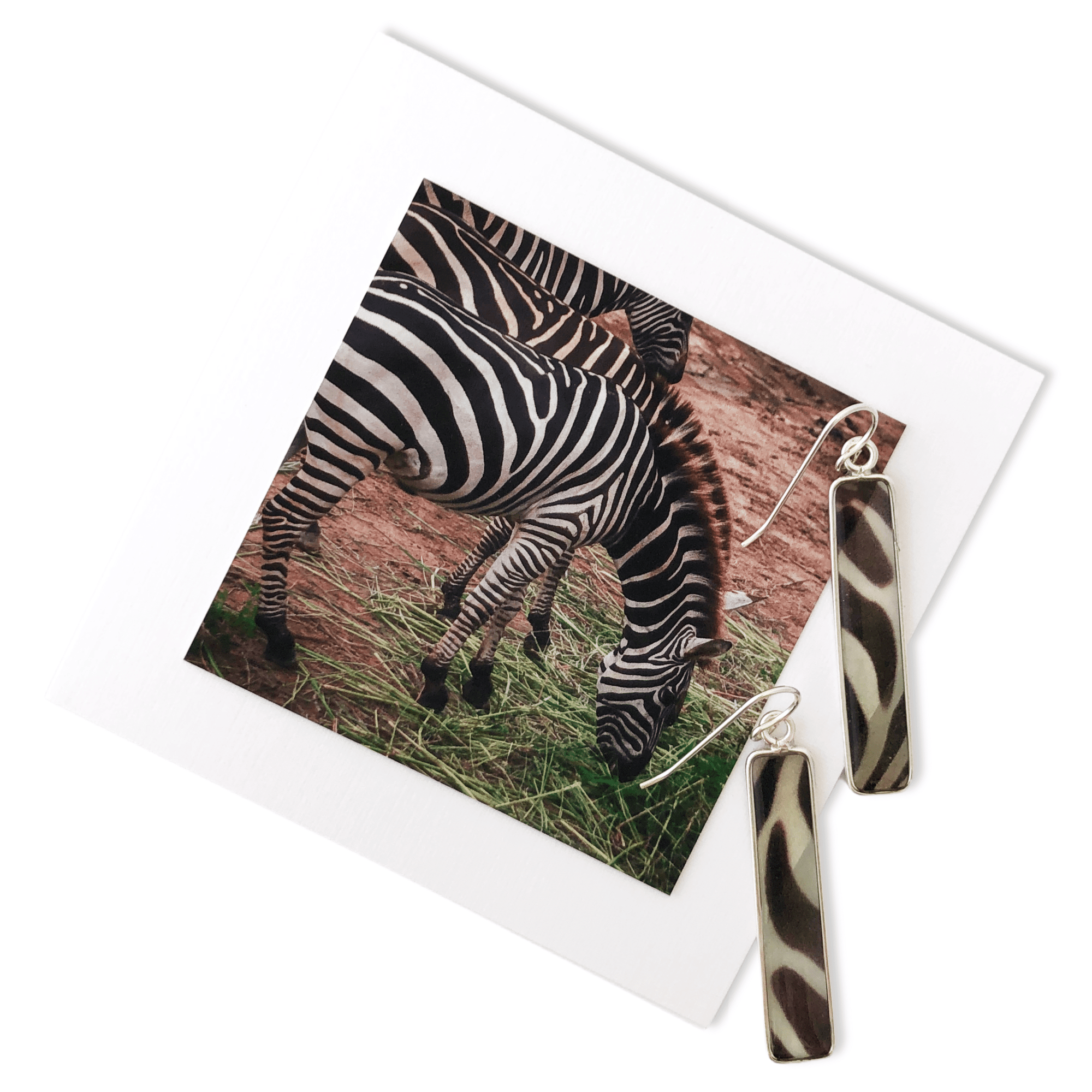 Zebra Earrings La Vida in Life Photography