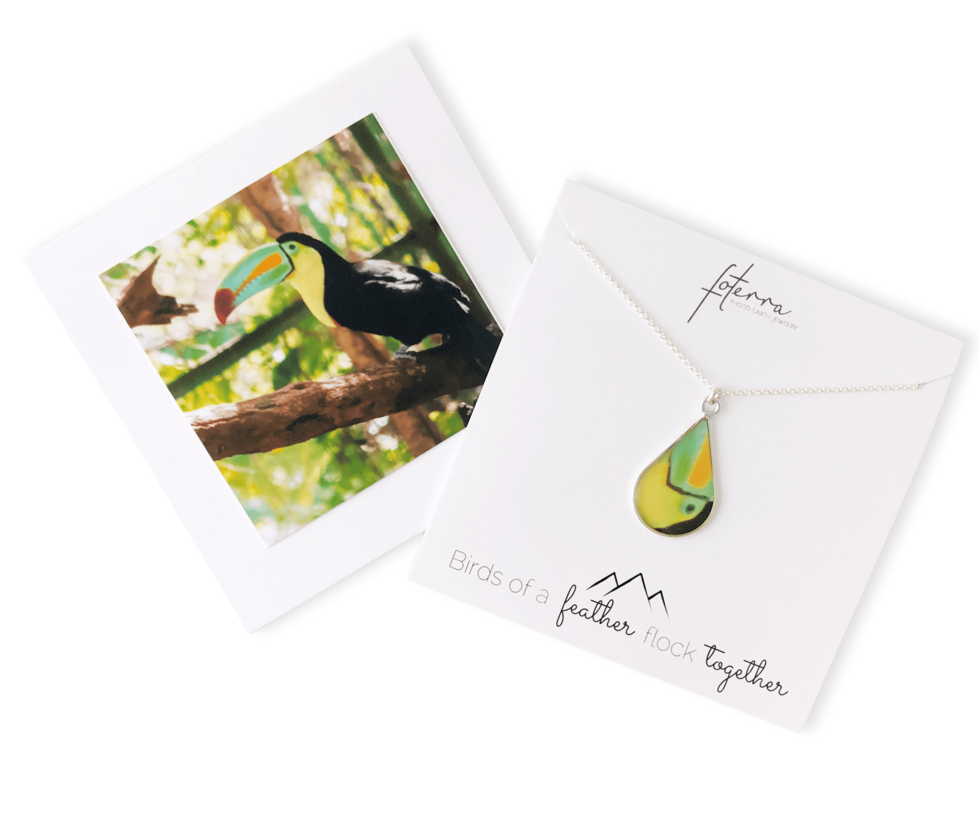 Rainforest Toucan Necklace by La Vida in Life Photography
