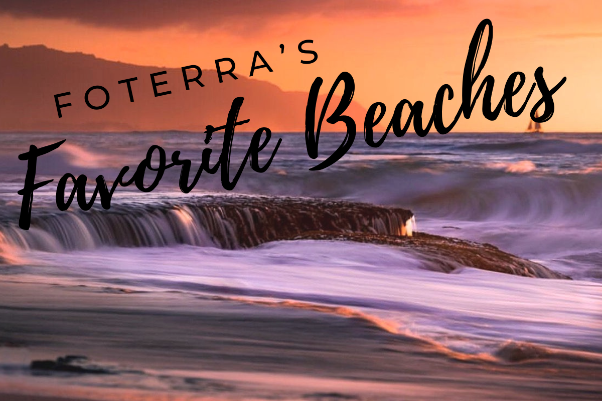 Foterra's Favorite Beaches