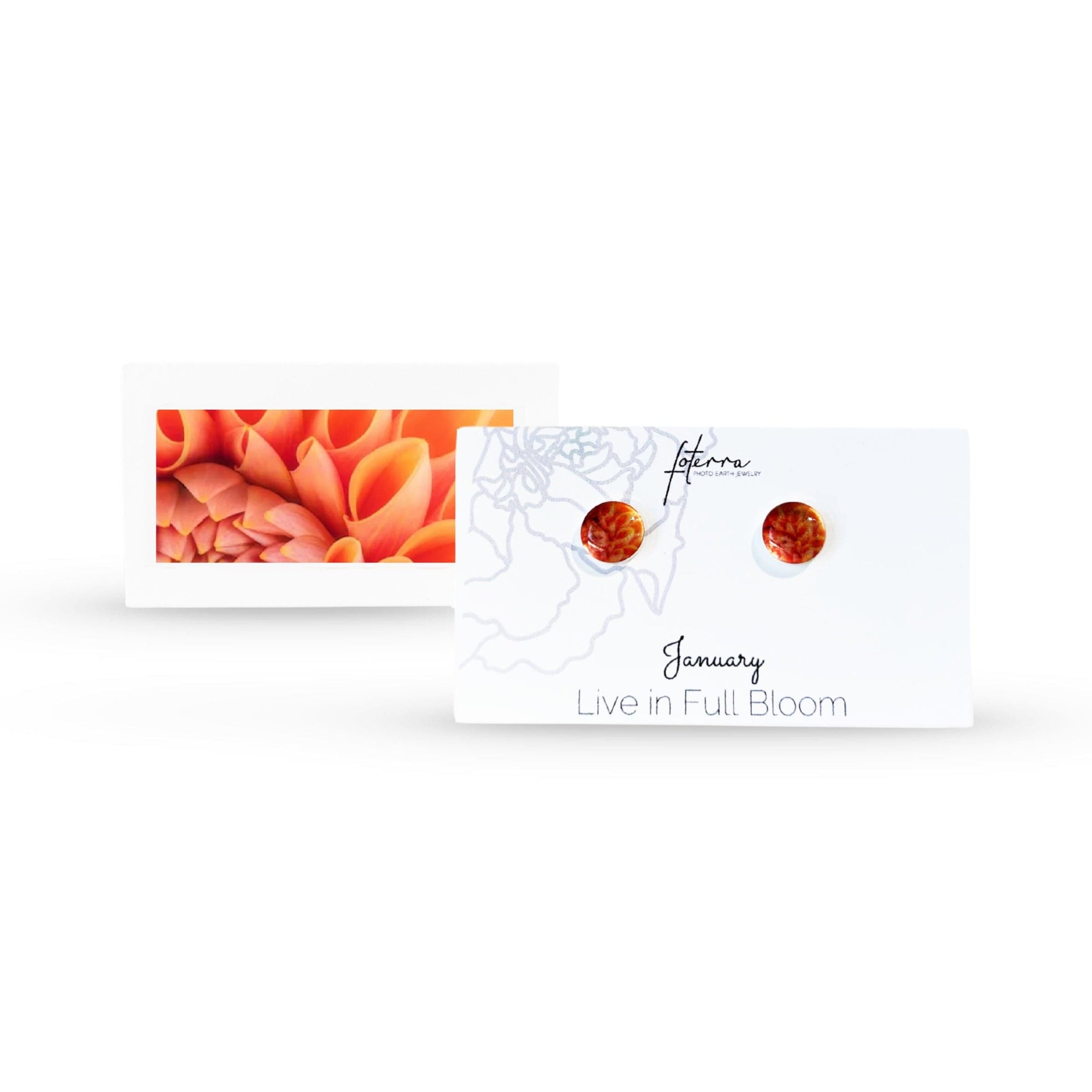 Foterra Jewelry Earrings