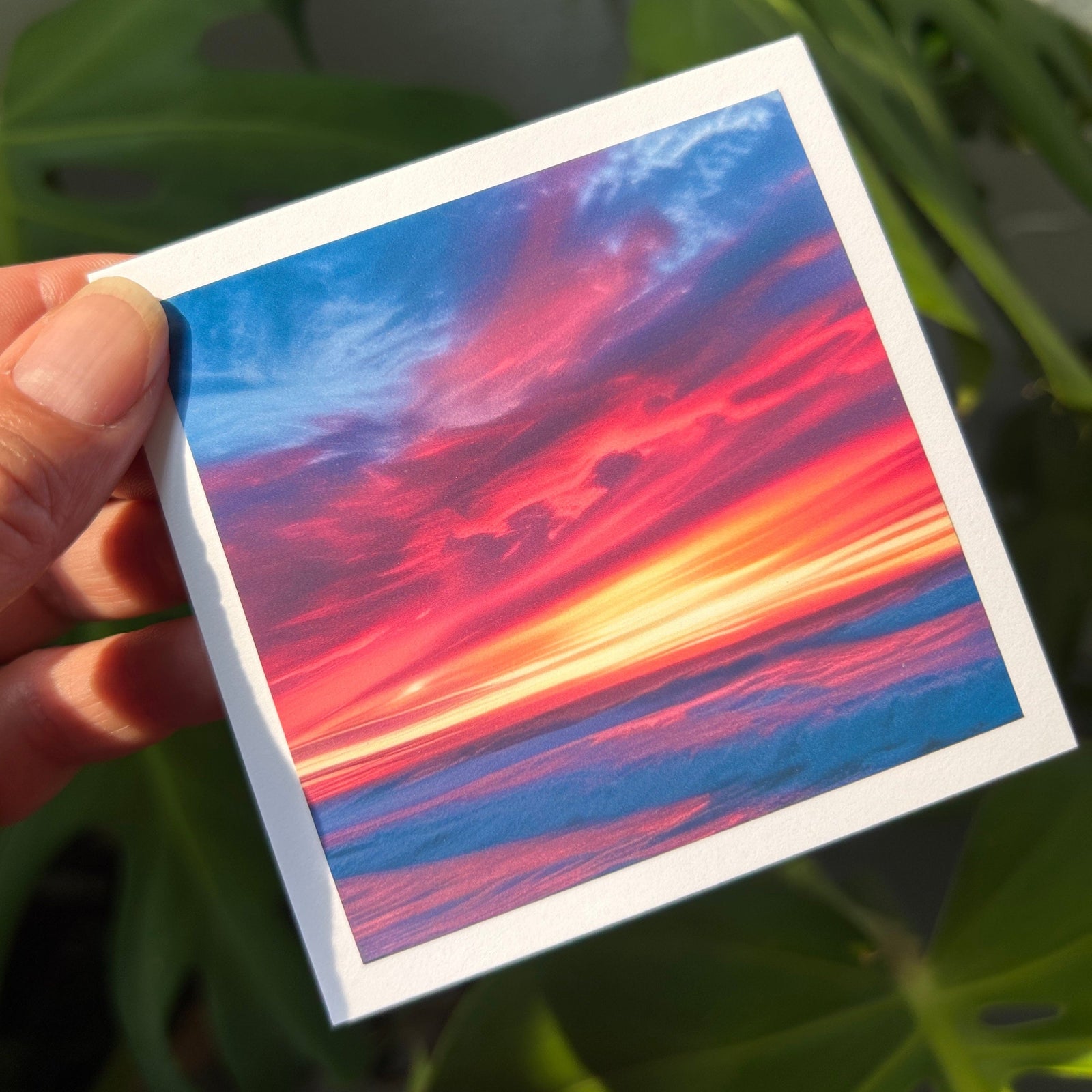 Foterra Jewelry Sale