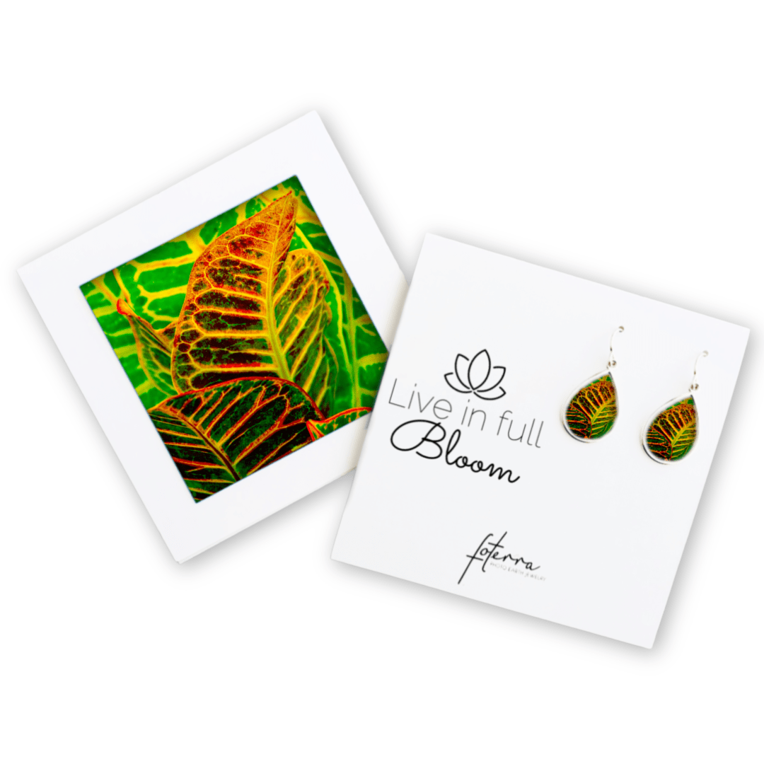 Heather Mladek Earrings