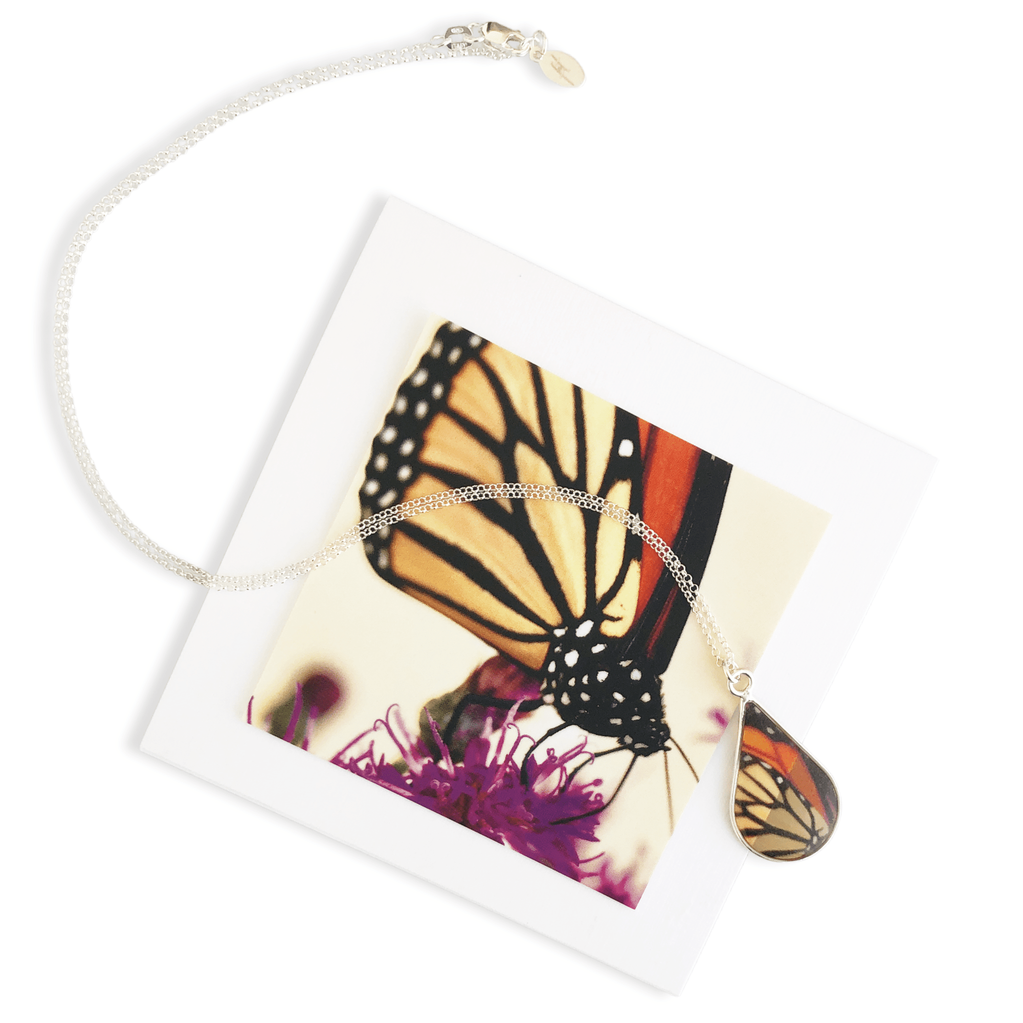 Monarch Butterfly Necklace by Kelly Kreger