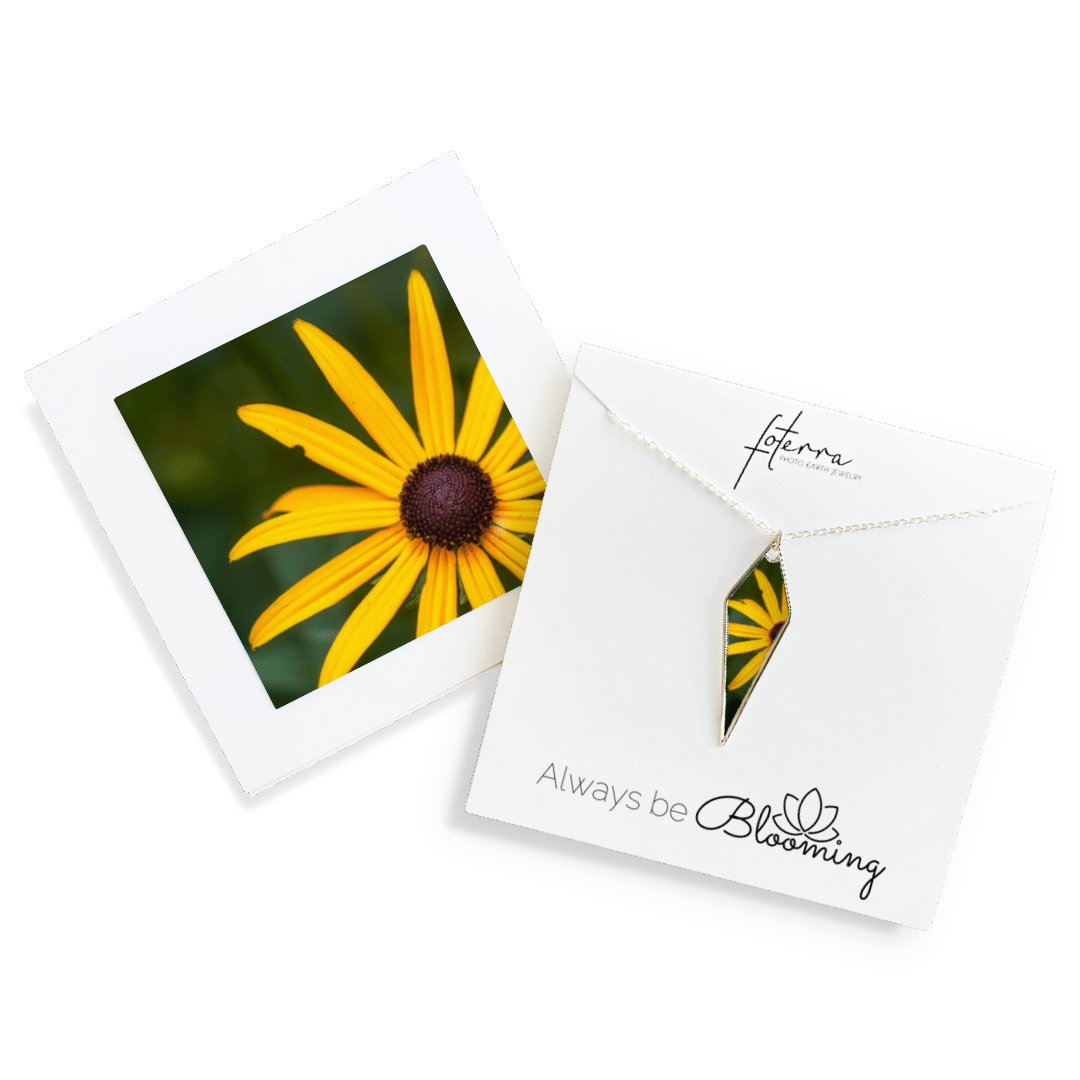 Stacy White Photography Necklace