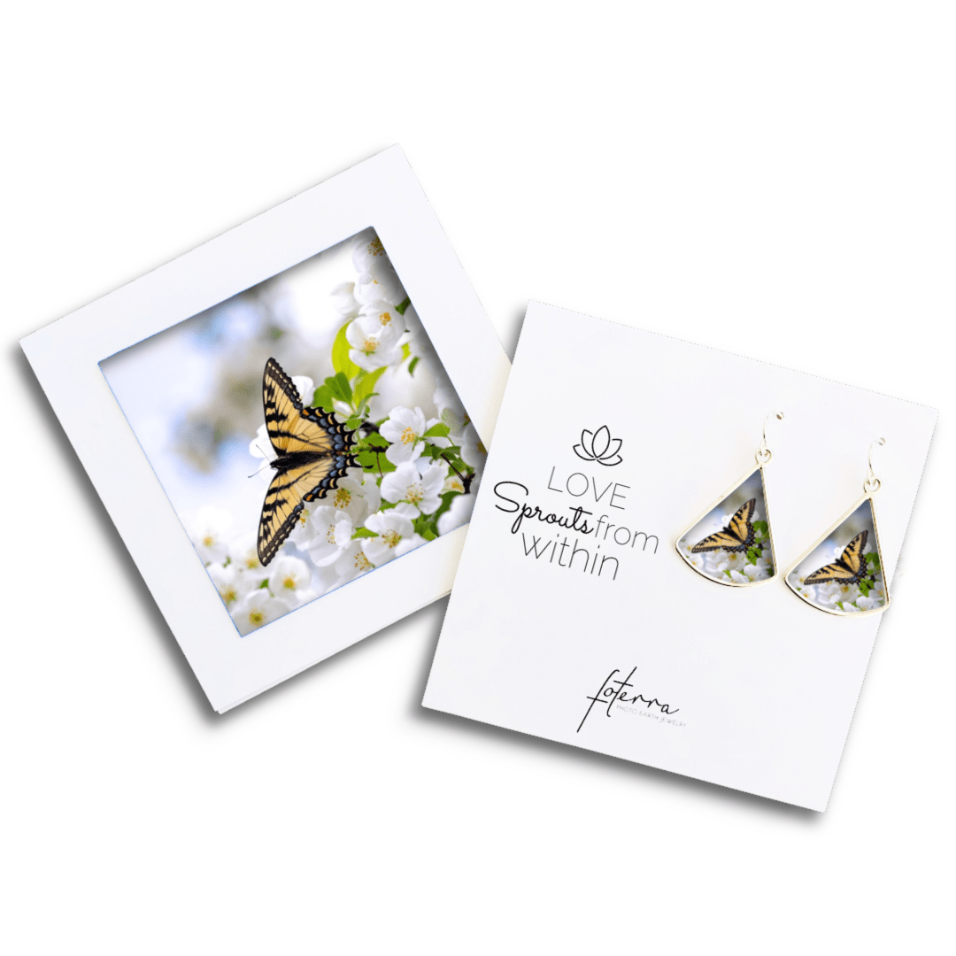 Monarch Butterfly Earrings by Carissa Photopoulos