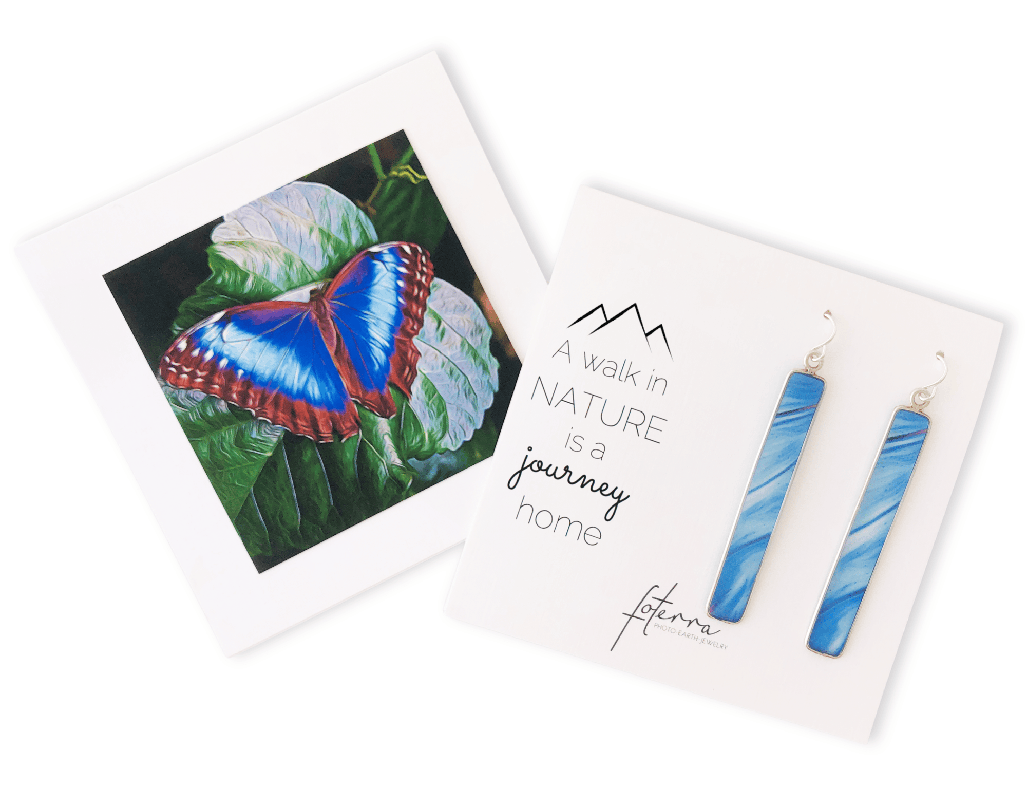Blue Butterfly Earrings by Douglas Salvatoriello