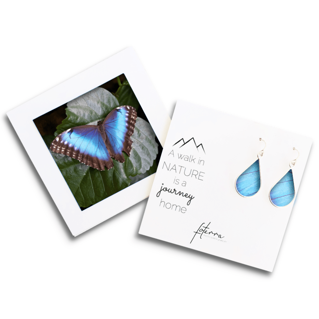 Blue Butterfly Earrings by Doug Salvatoriello