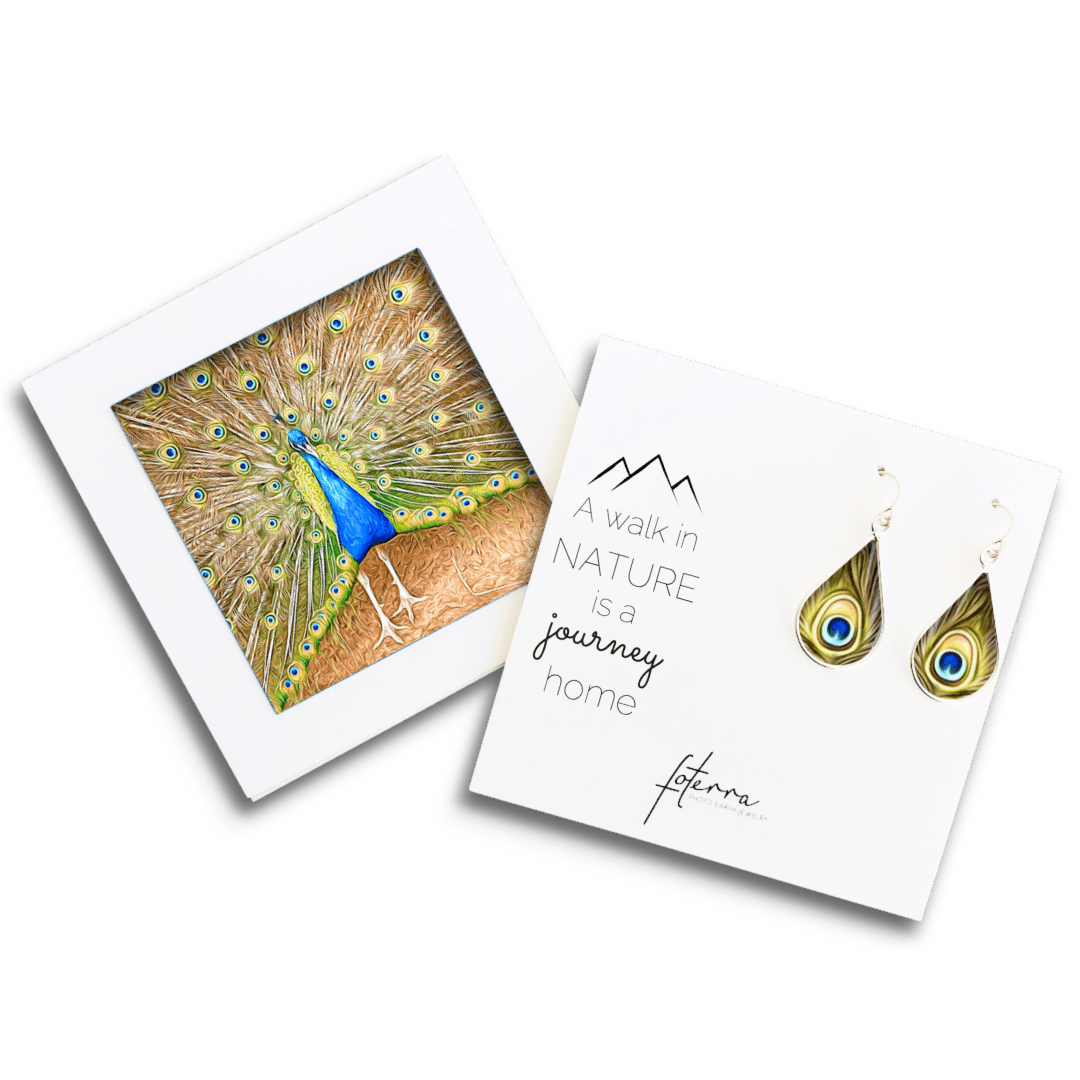 Peacock Earrings by Doug Salvatoriello