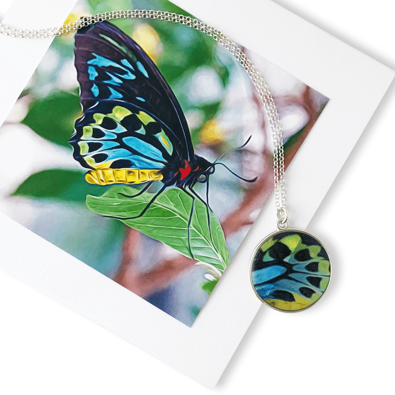 Butterfly Garden Necklace by Doug Salvatoriello