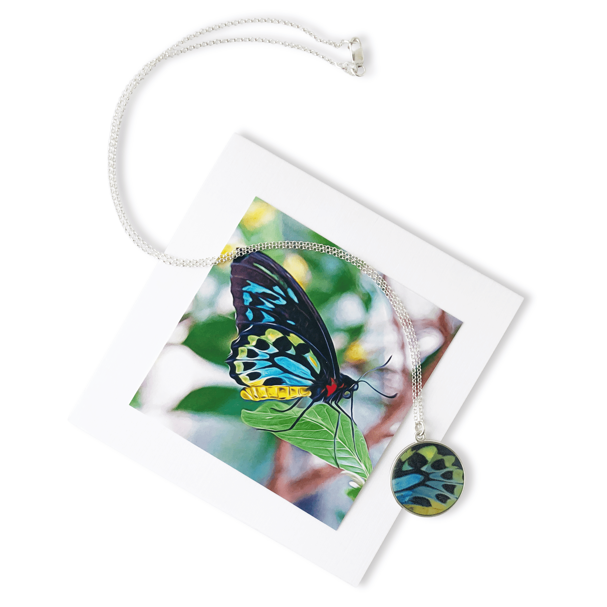 Butterfly Garden Necklace by Doug Salvatoriello
