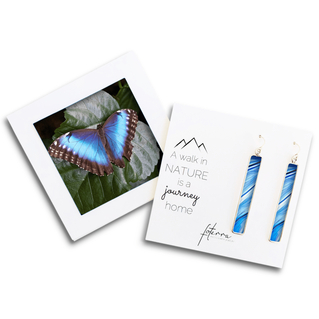 Blue Butterfly Earrings by Douglas Salvatoriello