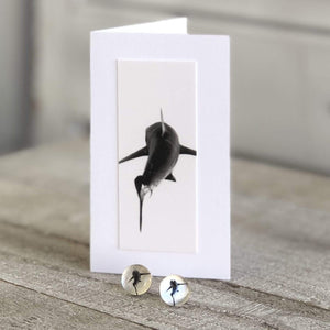 White Shark Post Earrings