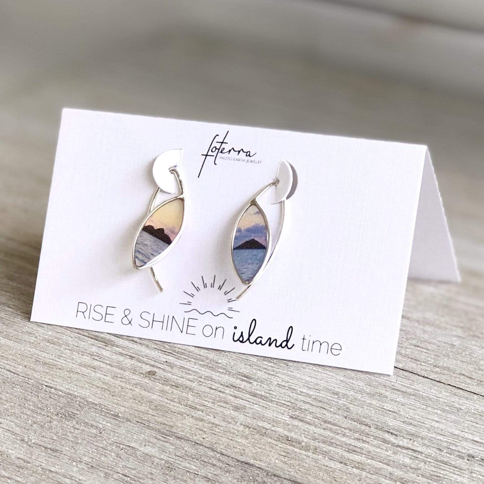 Fair trade bird earrings: Hammered Swallow Earrings (birds)