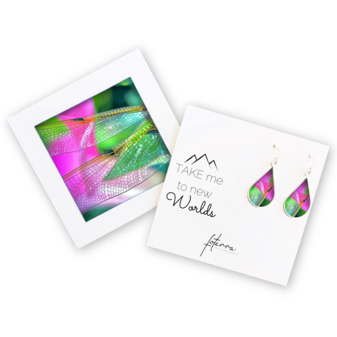 Dragonfly Wing Earrings by Jen Ritterman