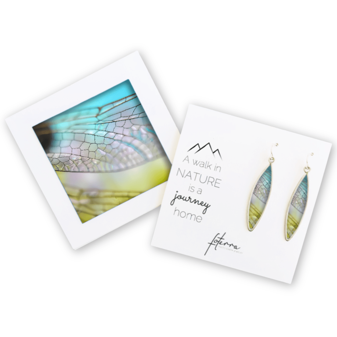 Dragonfly Earrings by Jen Ritterman