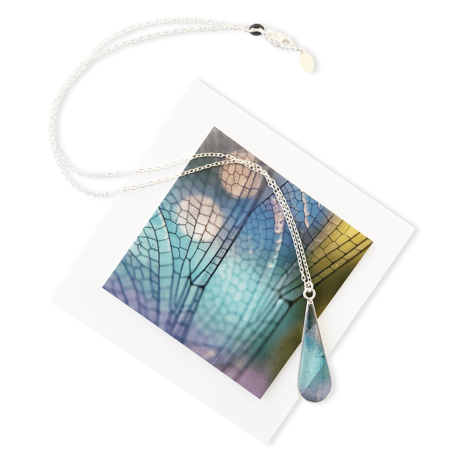 Dragonfly Necklace by Jen Ritterman