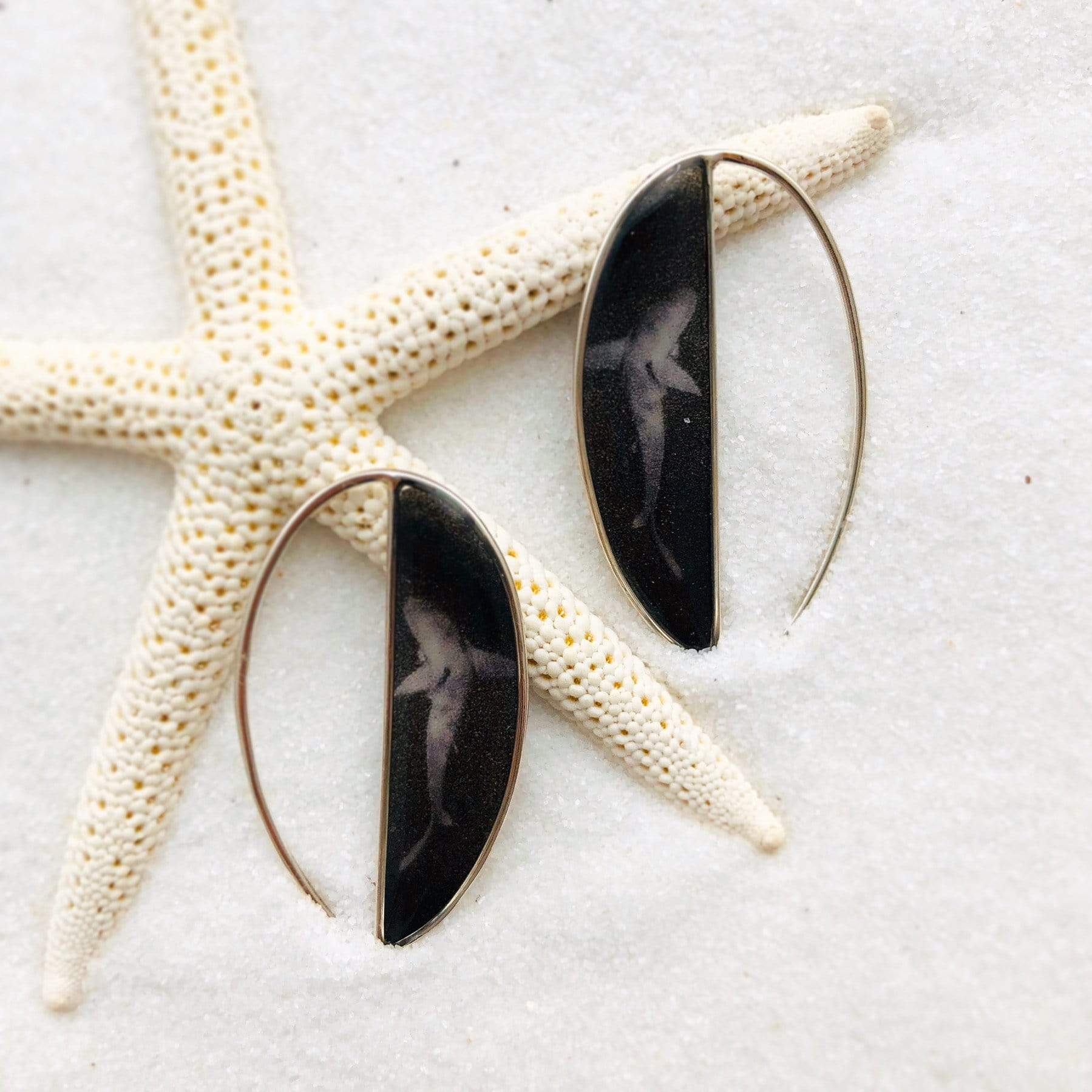 Shark Earrings by John Kowitz