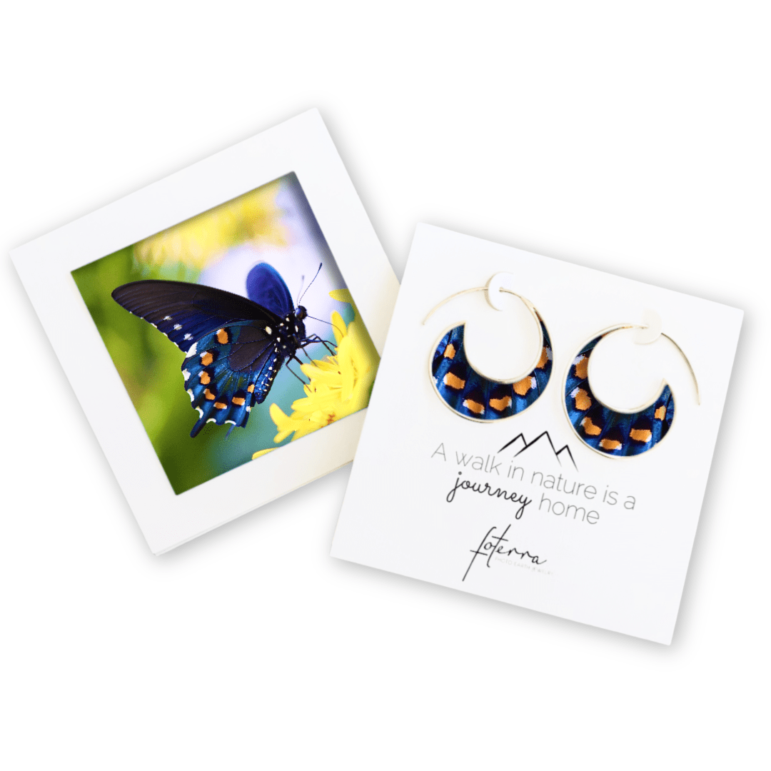 Kelly Kreger Earrings