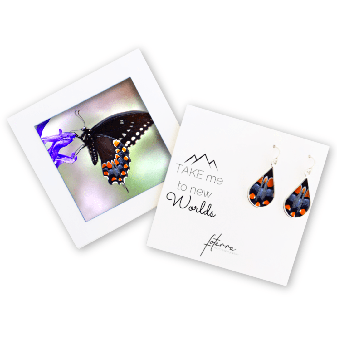Butterfly Earrings by Kelly Kreger
