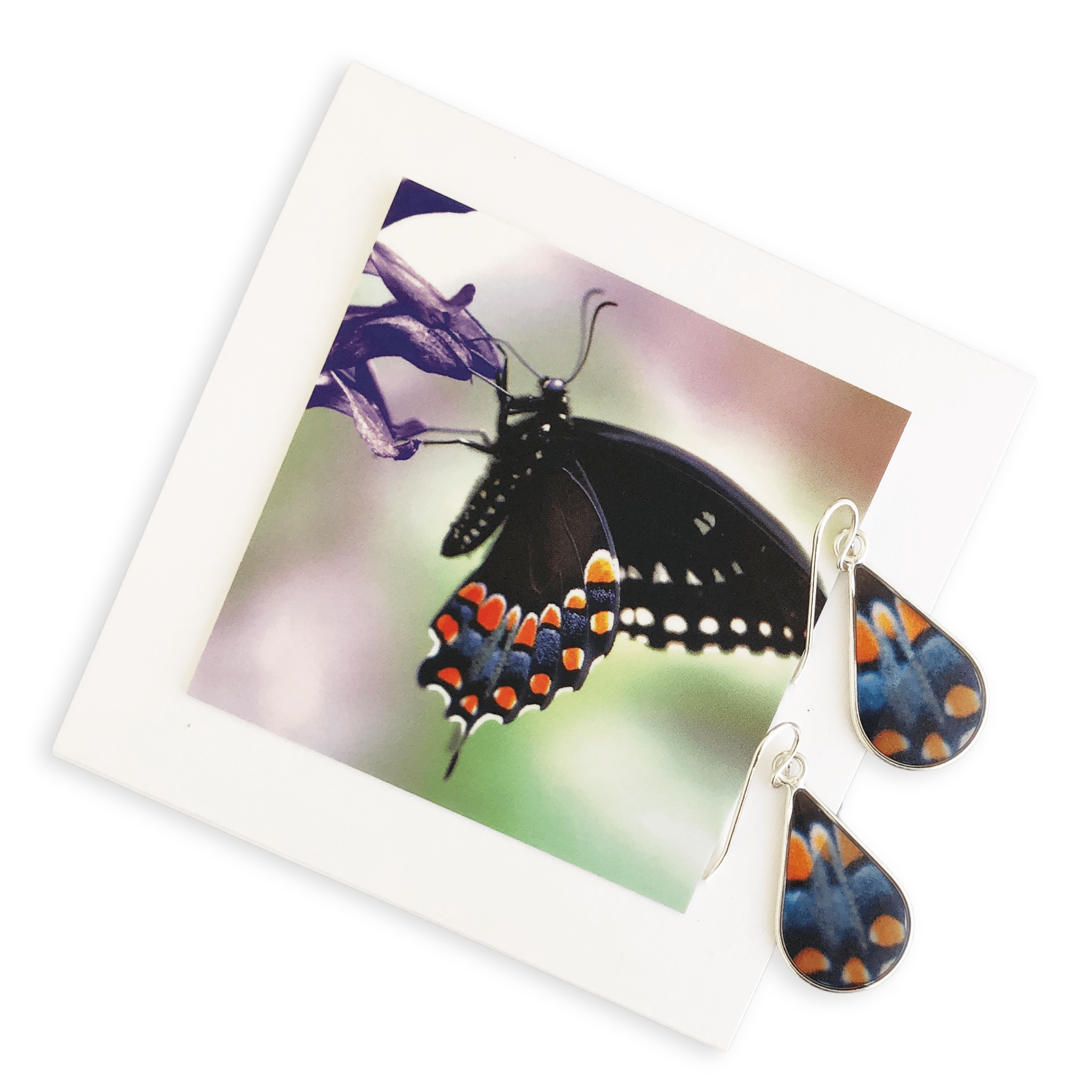 Real butterfly wing hot sale jewelry sterling silver