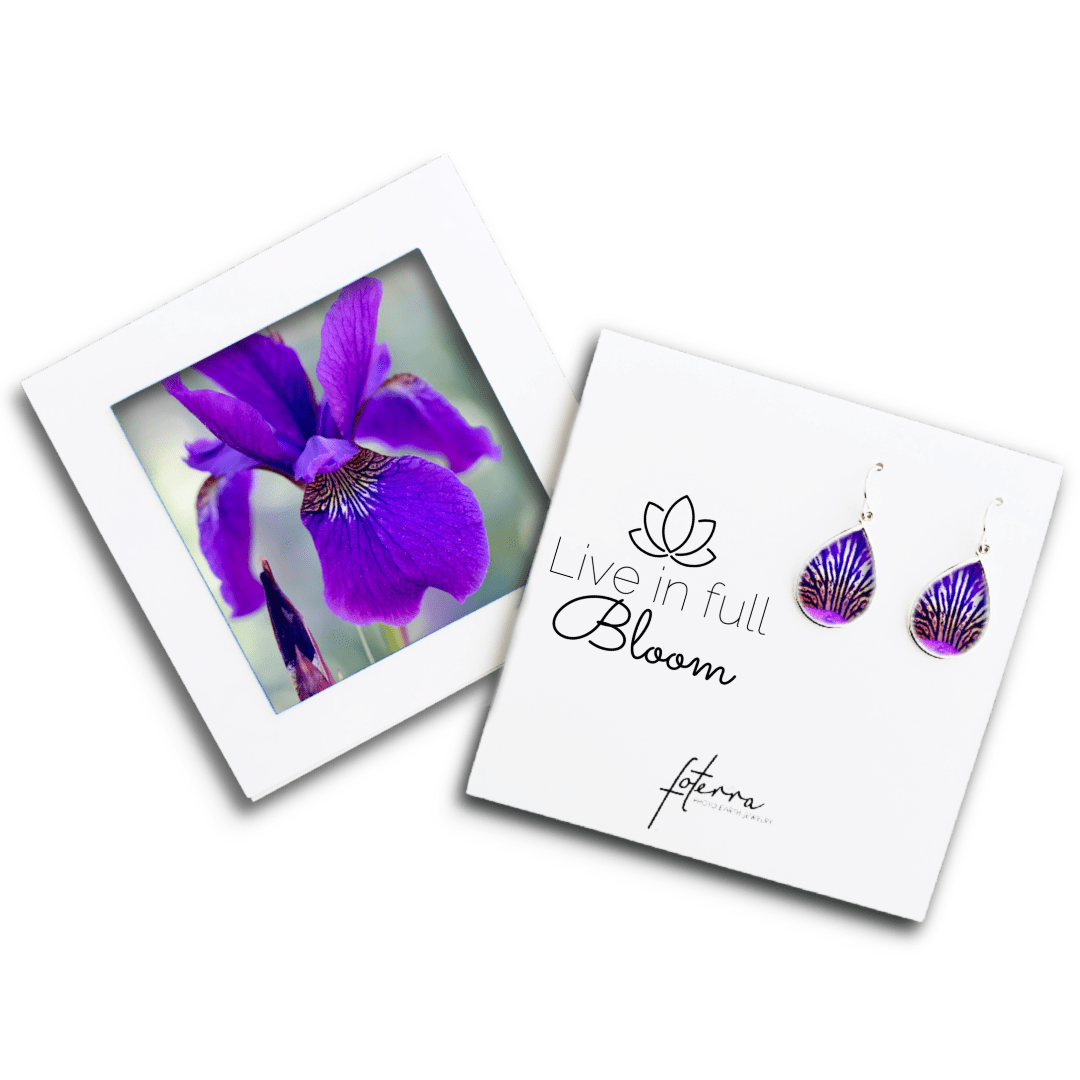 Kelly Kreger Earrings