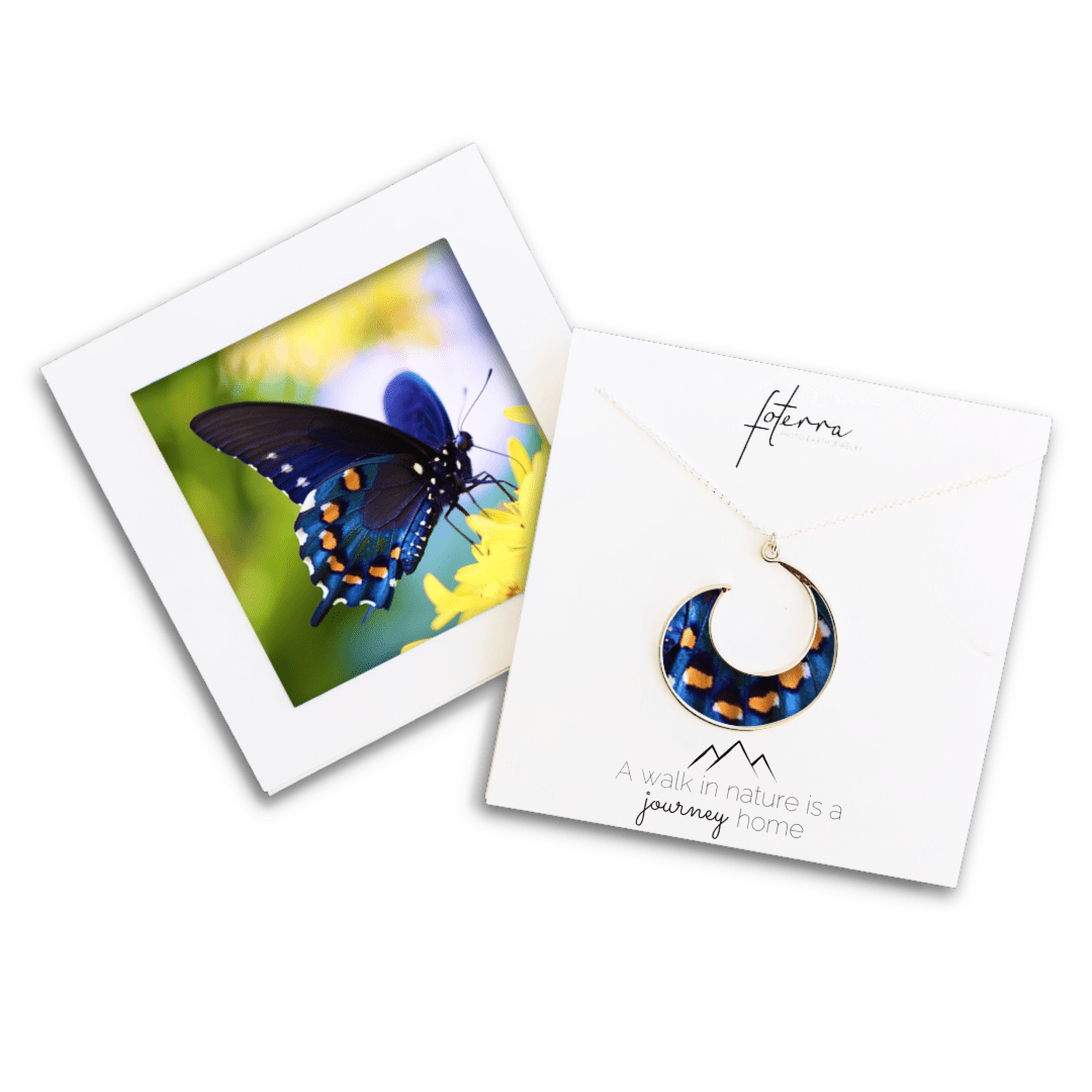 Kelly Kreger Necklace