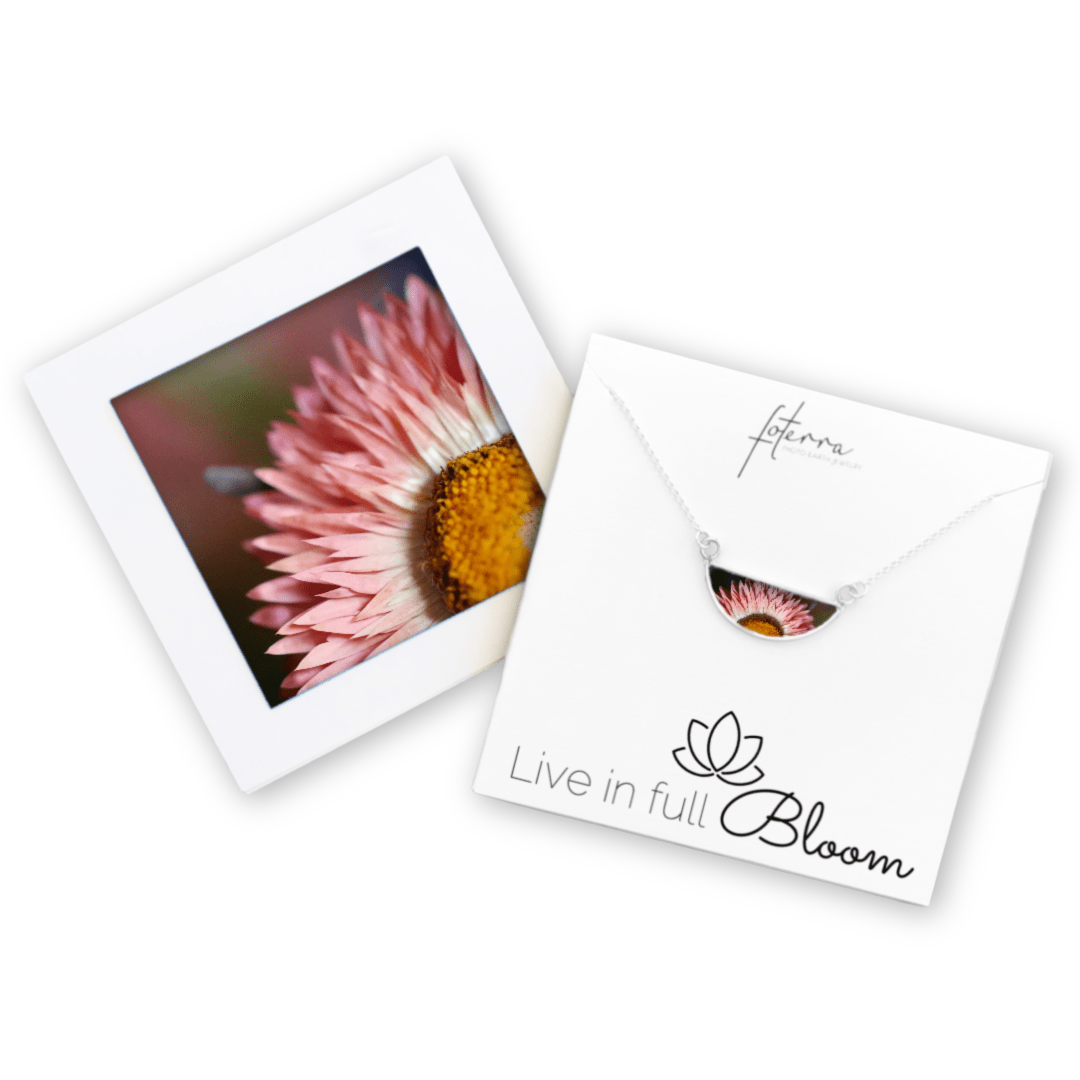 Kelly Kreger Necklace