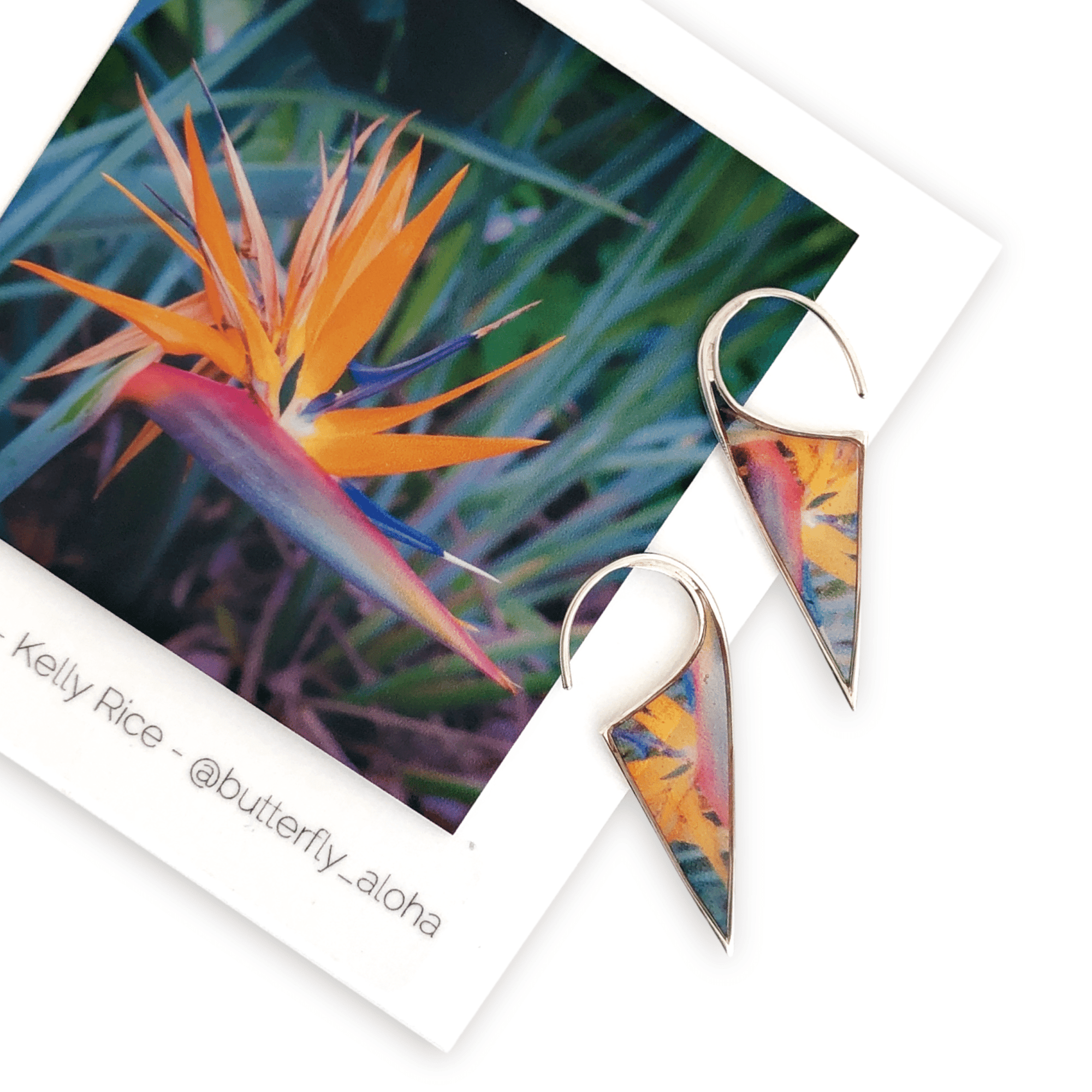Bird of Paradise Tropical Flower Earrings by Kelly Rice
