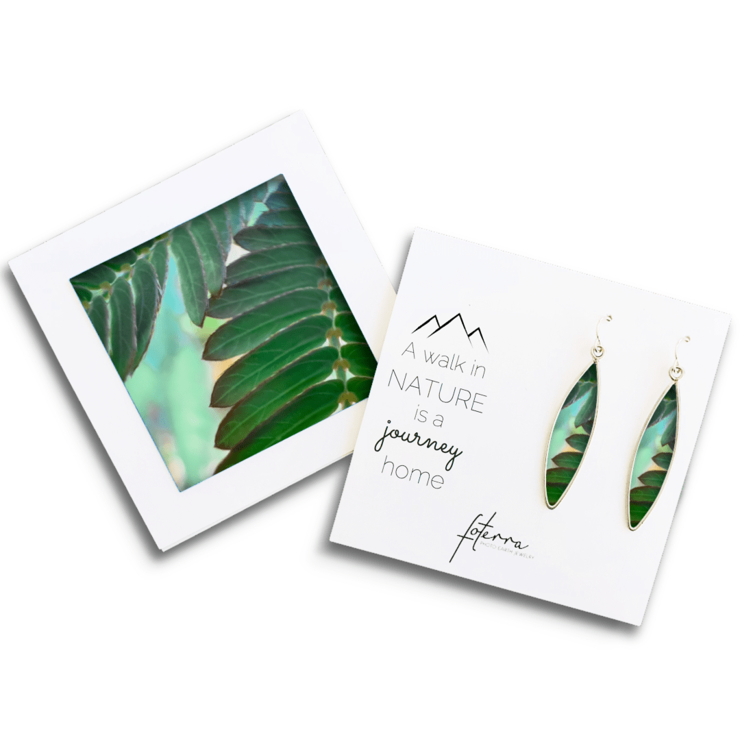 Kyote Designs Earrings