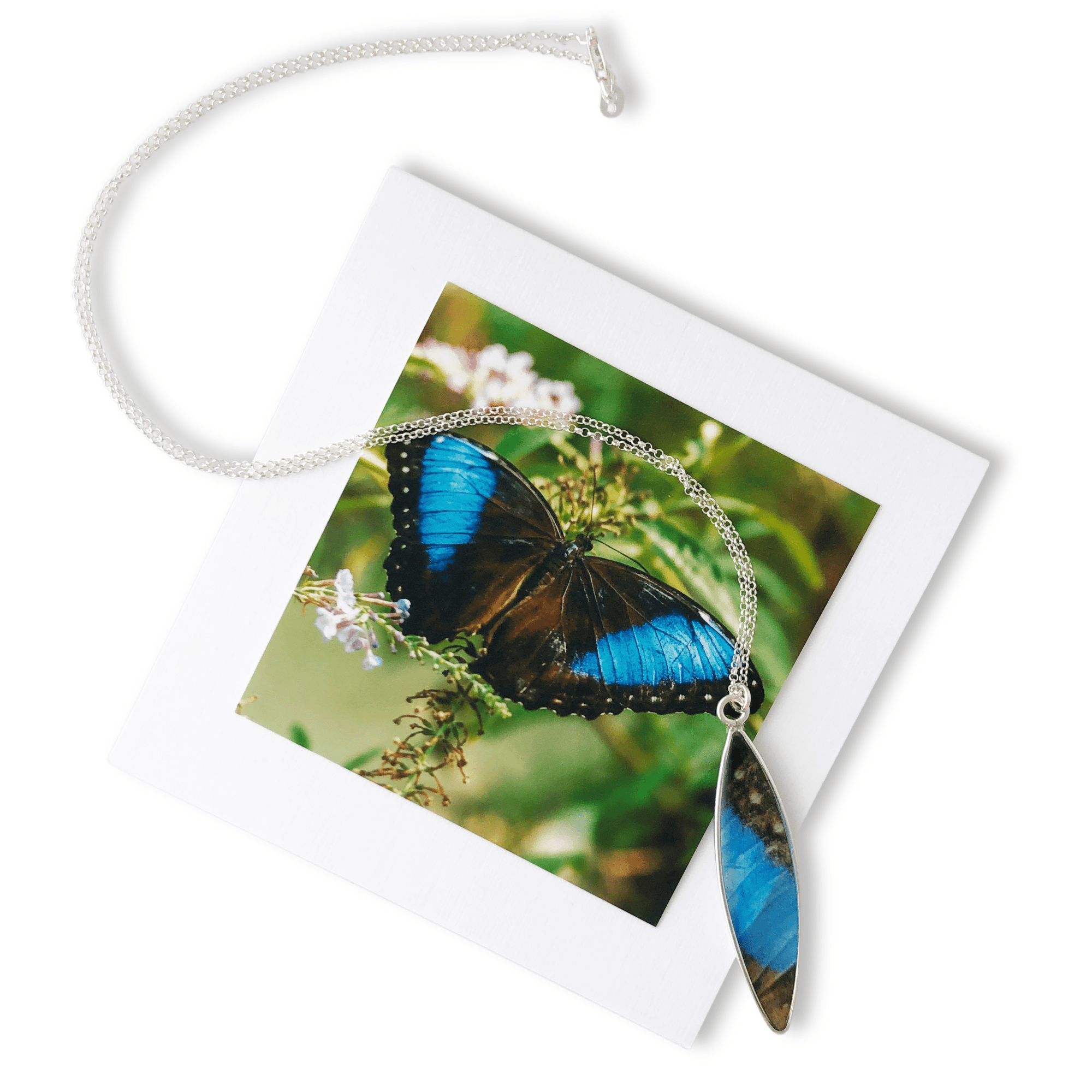 Tropical Blue Butterfly Necklace by La Vida in Life Photography