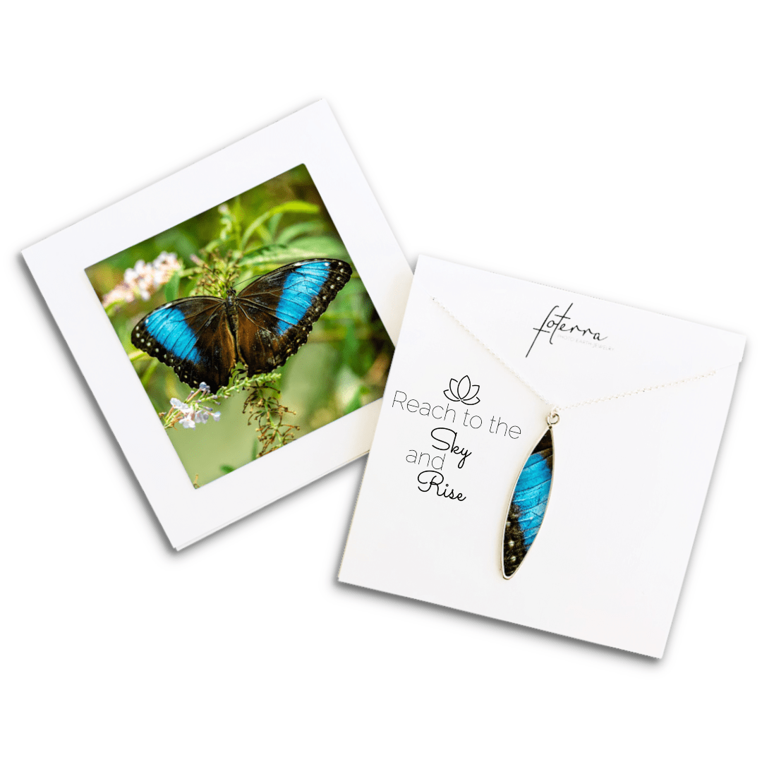 Tropical Blue Butterfly Necklace by La Vida in Life Photography