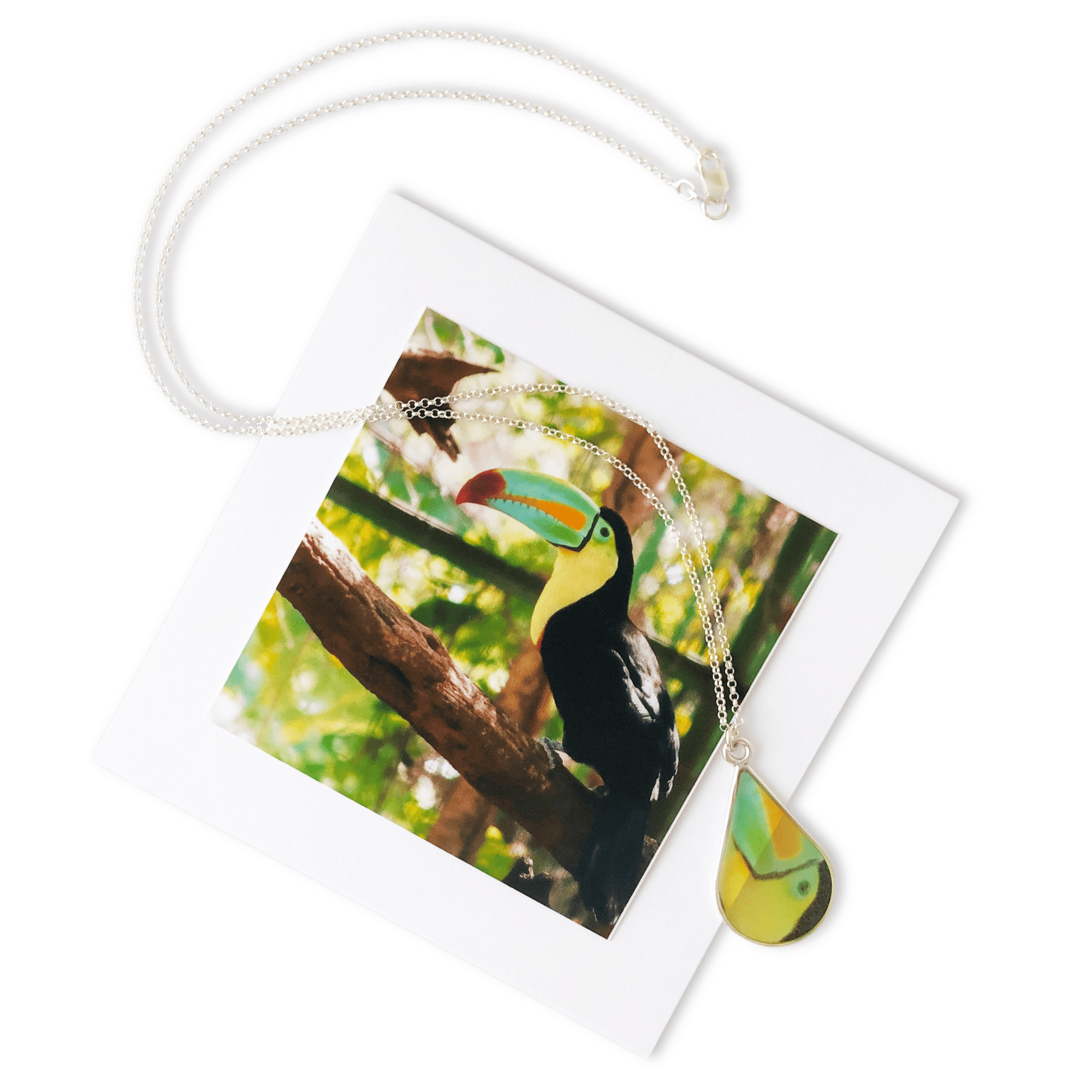 Rainforest Toucan Necklace by La Vida in Life Photography