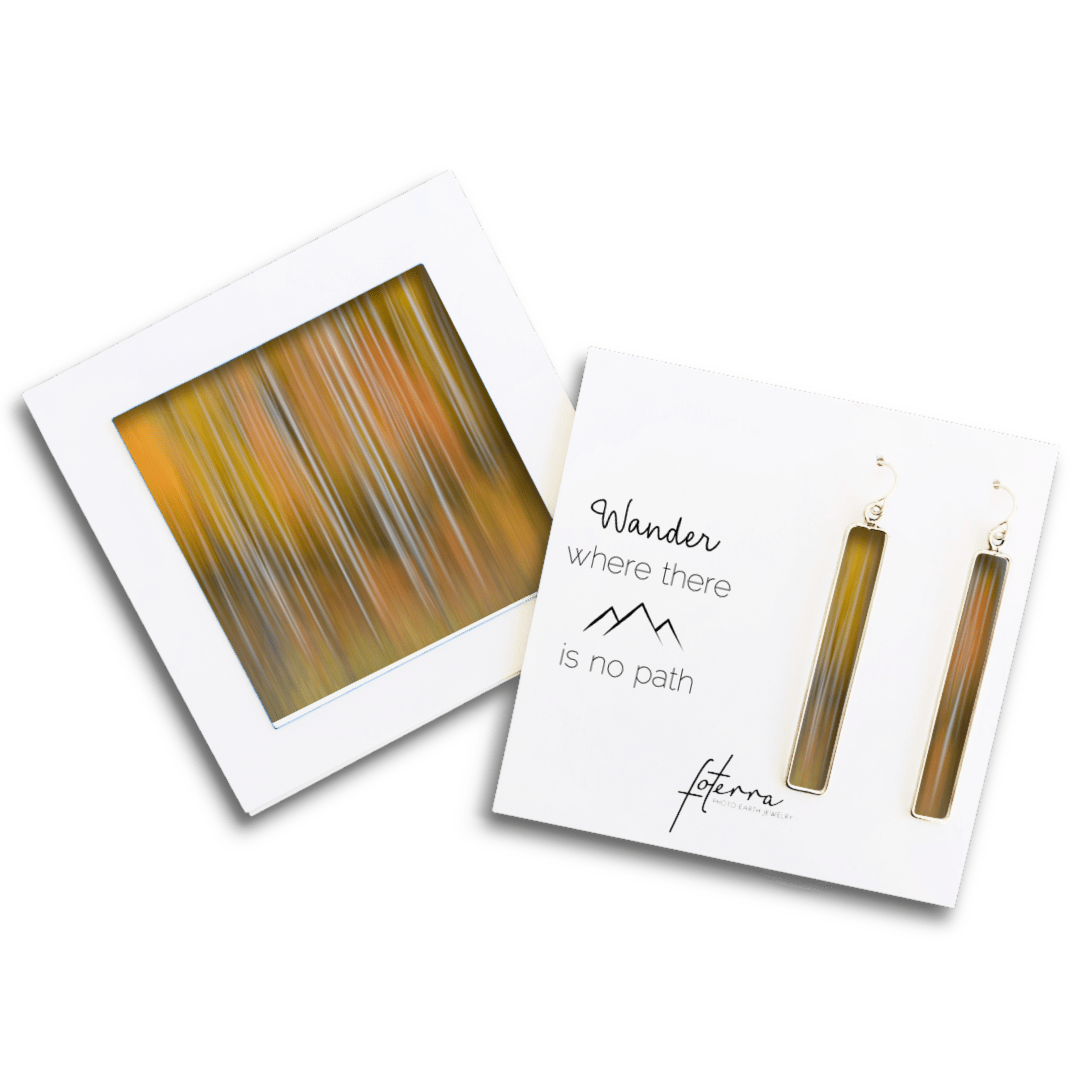 Stacy White Photography Earrings