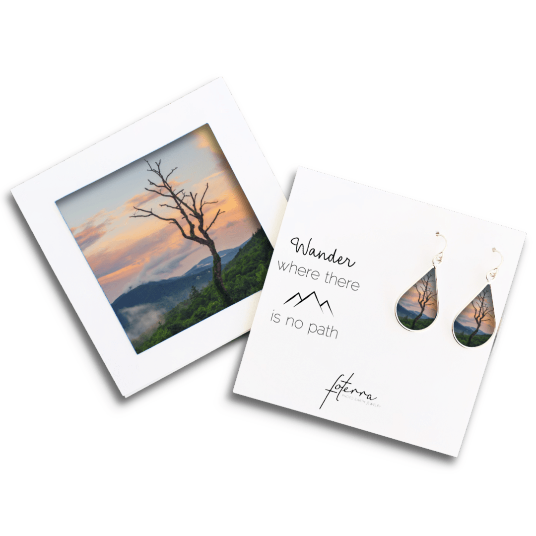 Stacy White Photography Earrings