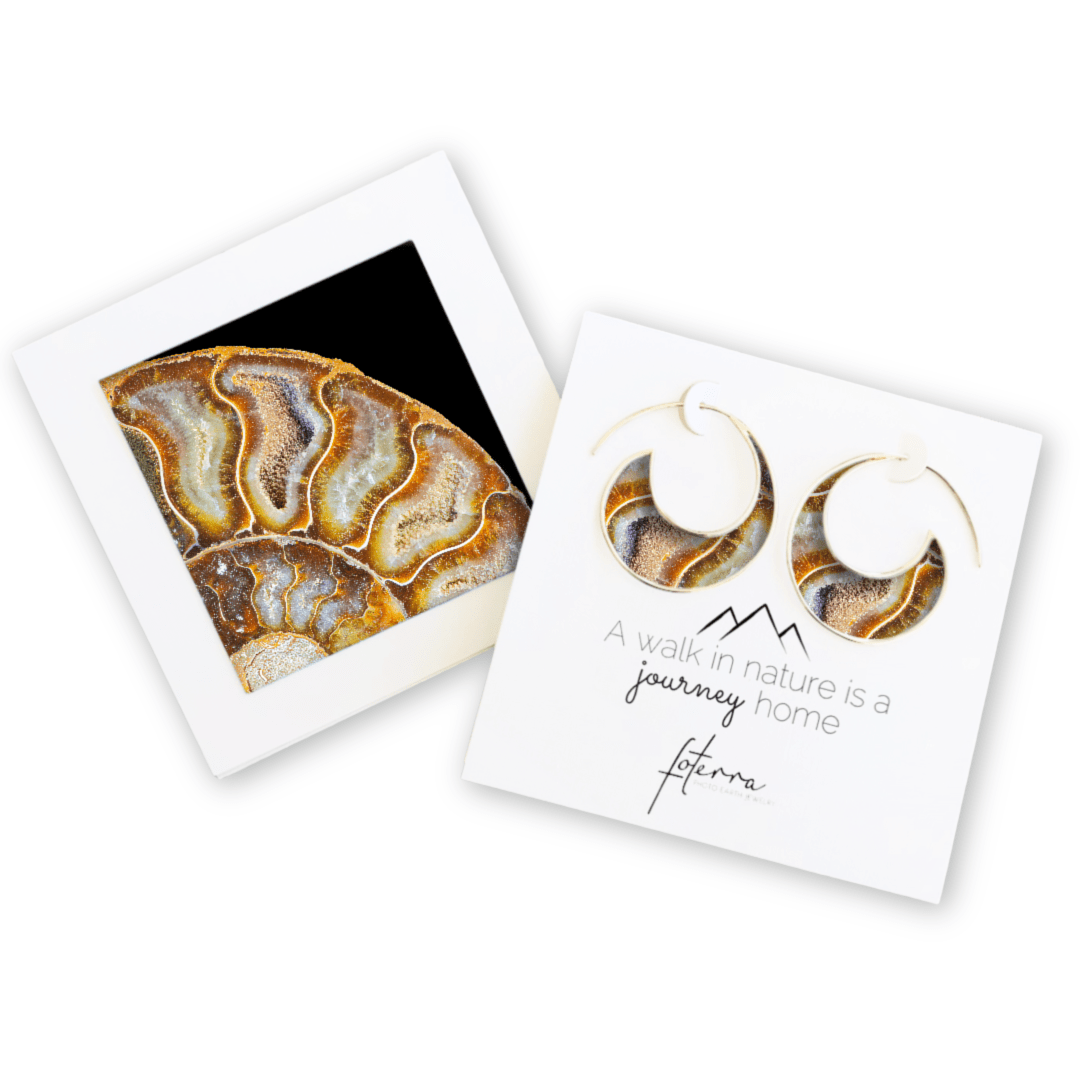 Stacy White Photography Earrings